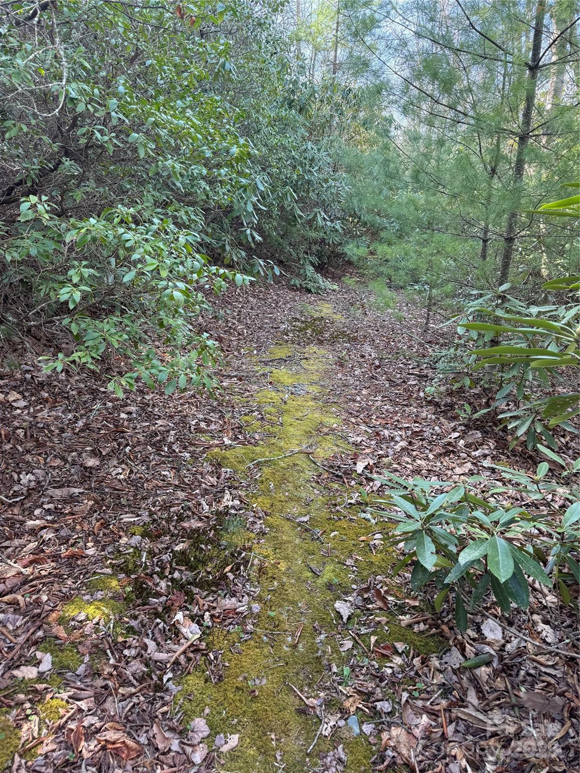 7797 Huskins Drive Property Photo 7