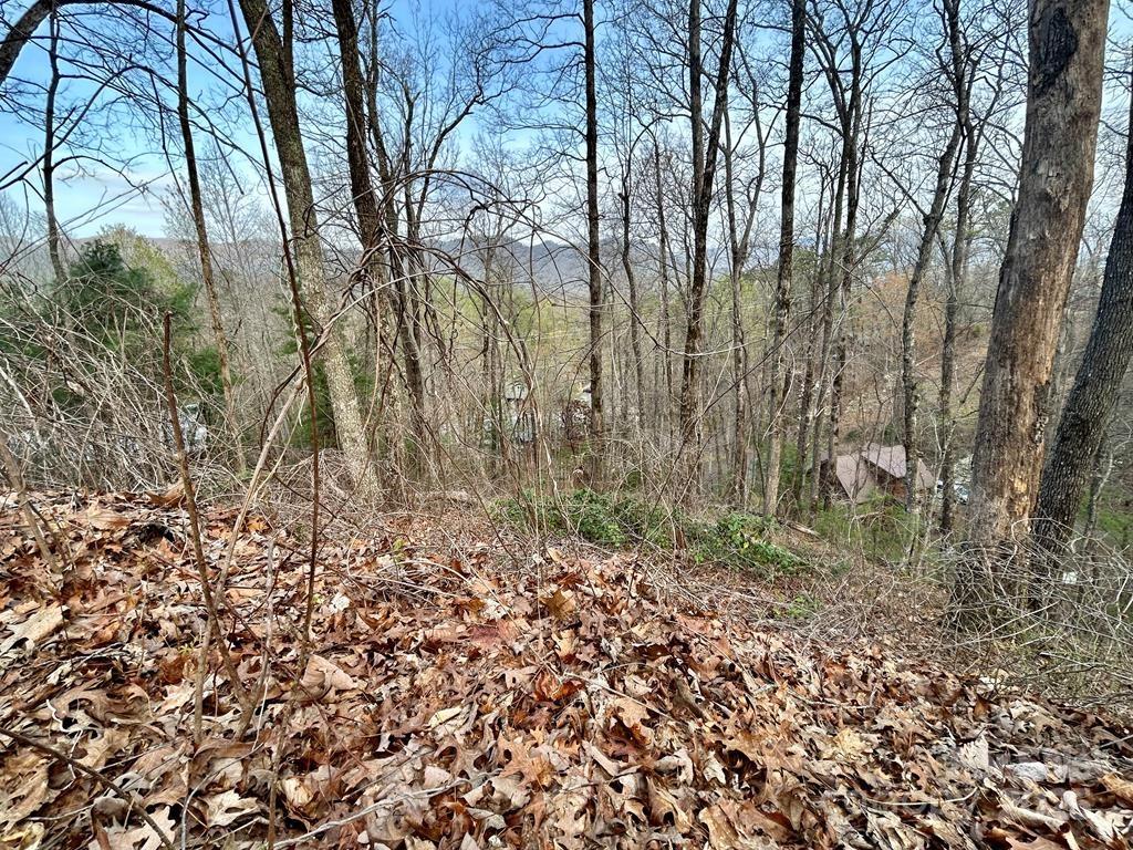 Lot 6 Biltmore Circle 6 Property Photo