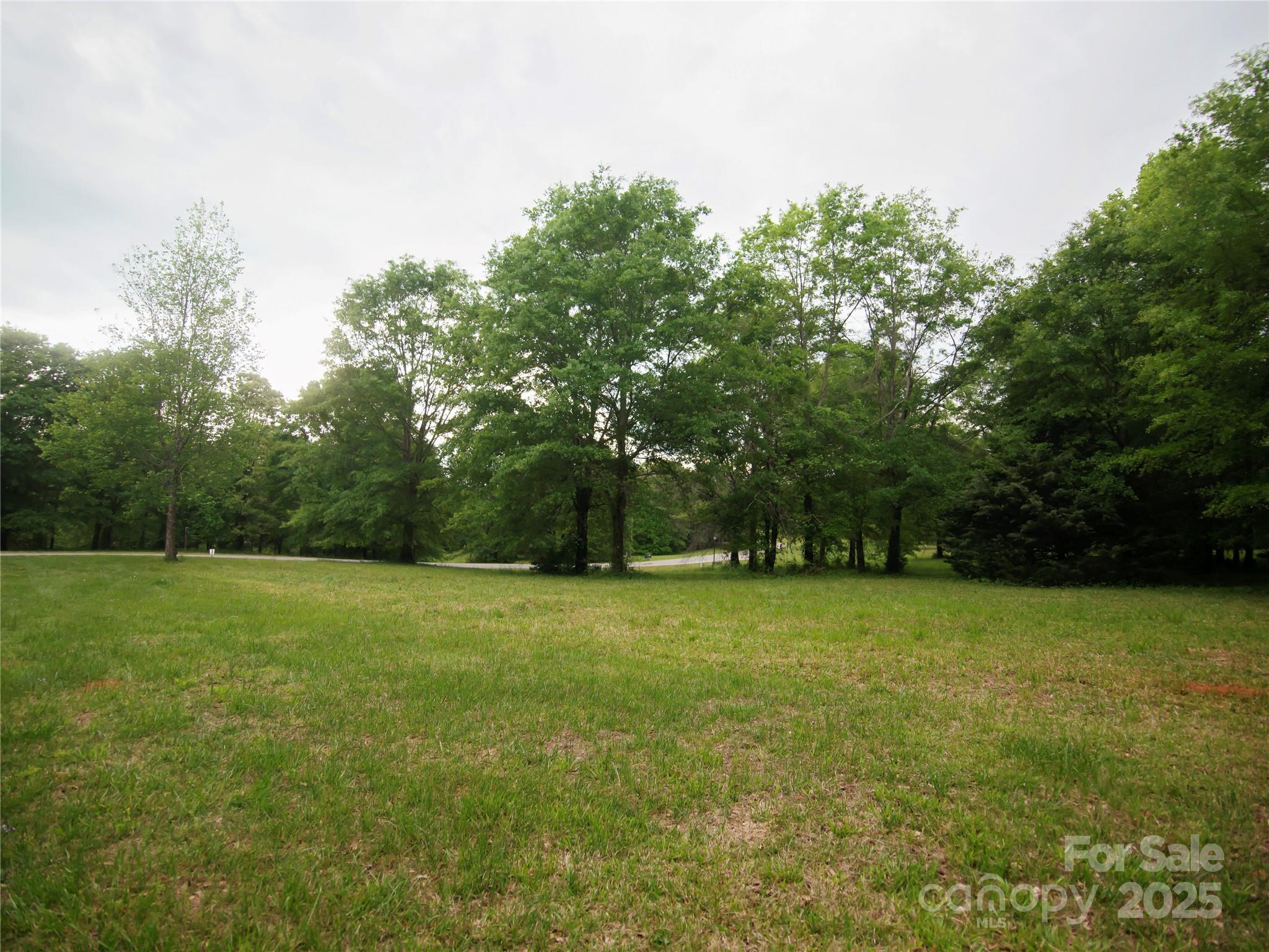 0 Ole Plantation Drive Property Photo