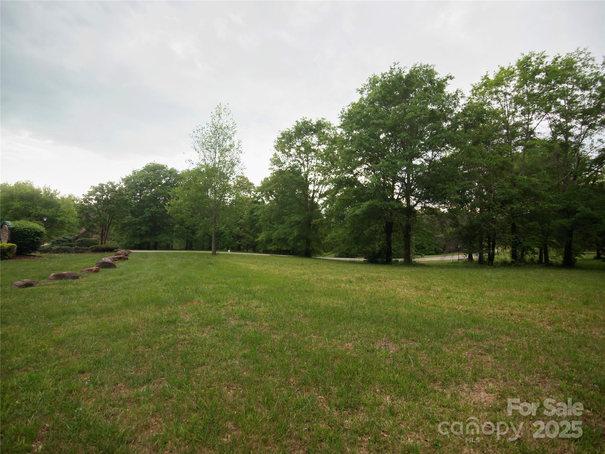 0 Ole Plantation Drive Property Photo 3