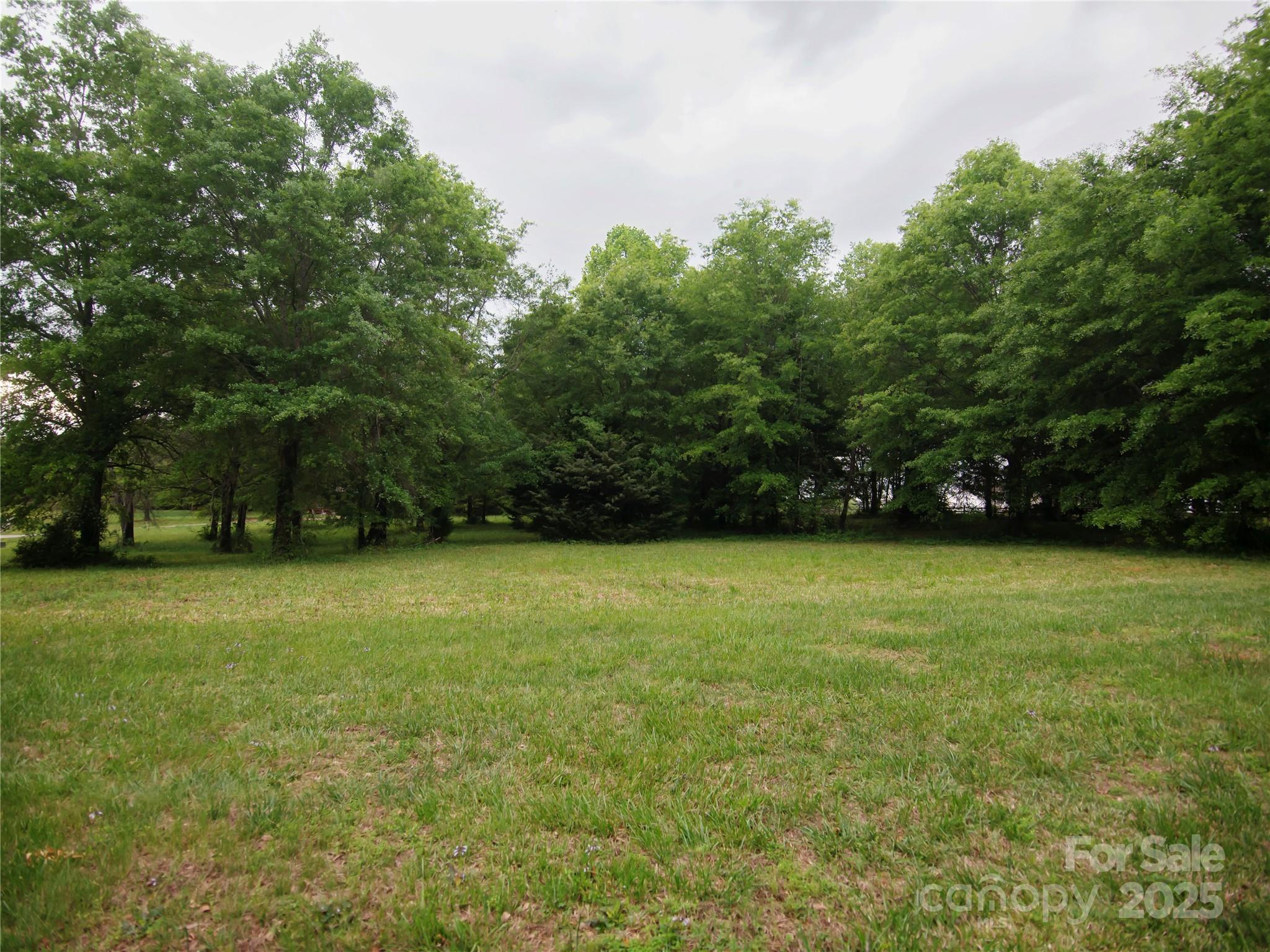 0 Ole Plantation Drive Property Photo 4