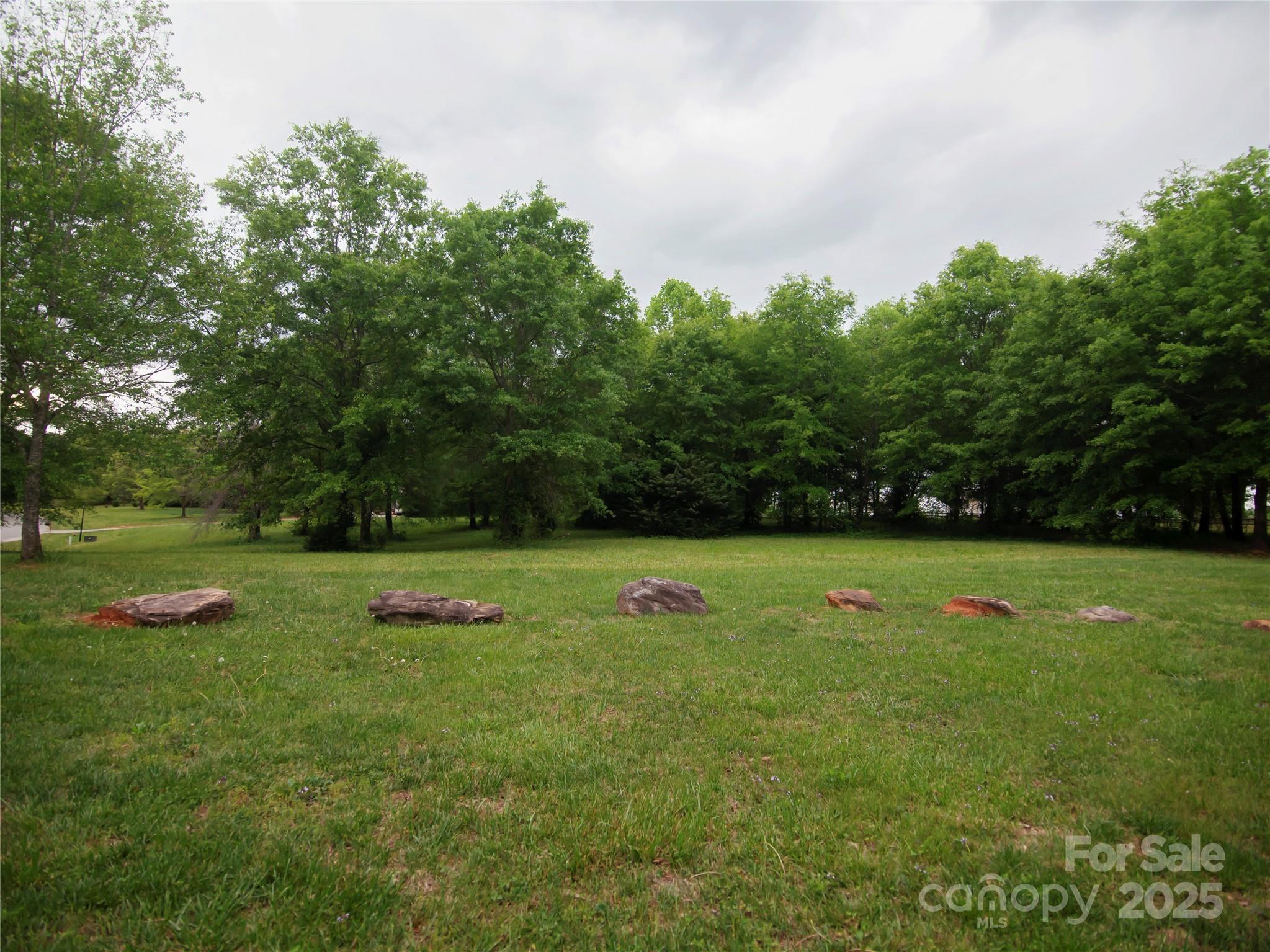 0 Ole Plantation Drive Property Photo 5