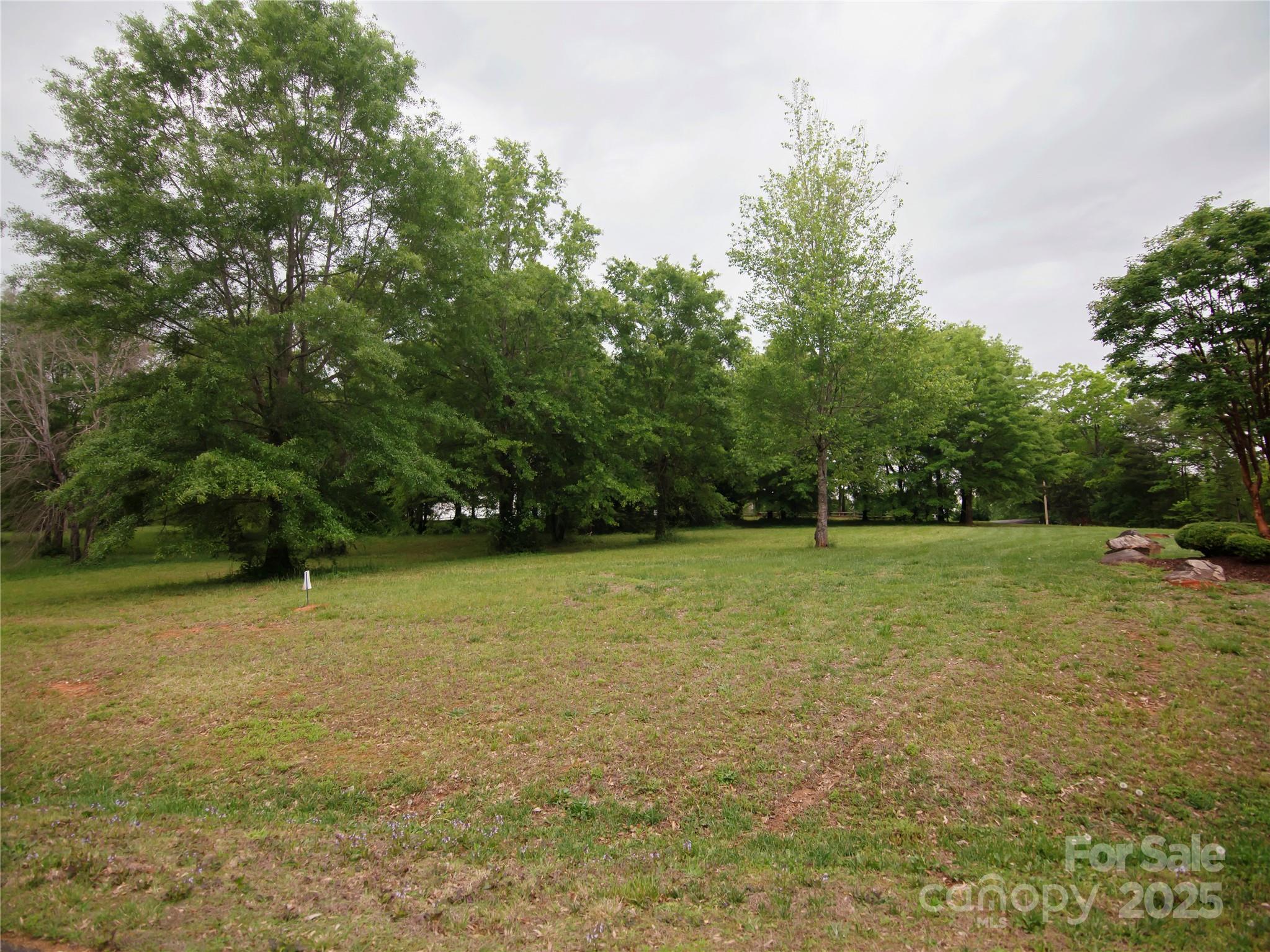 0 Ole Plantation Drive Property Photo 6