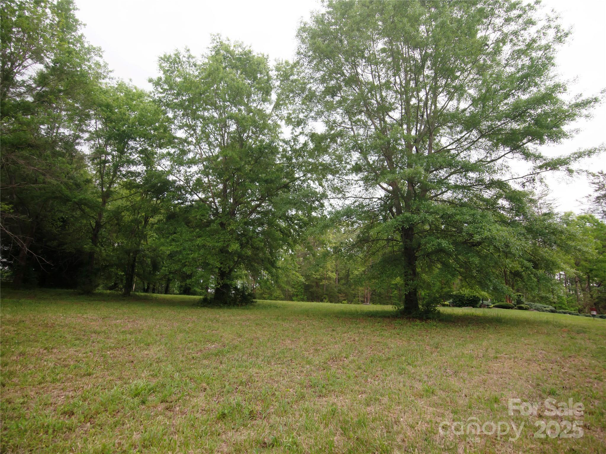 0 Ole Plantation Drive Property Photo 7