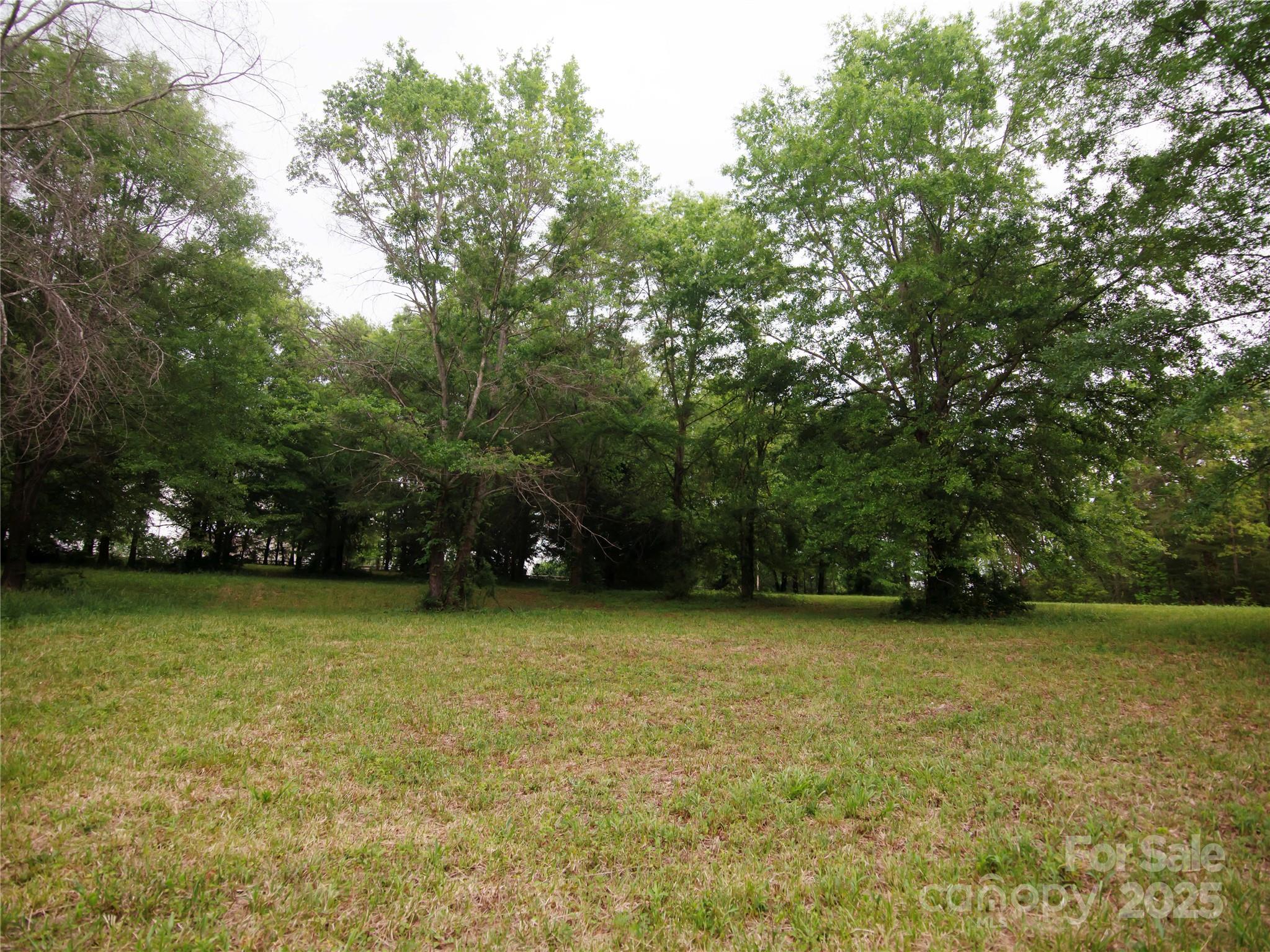 0 Ole Plantation Drive Property Photo 8