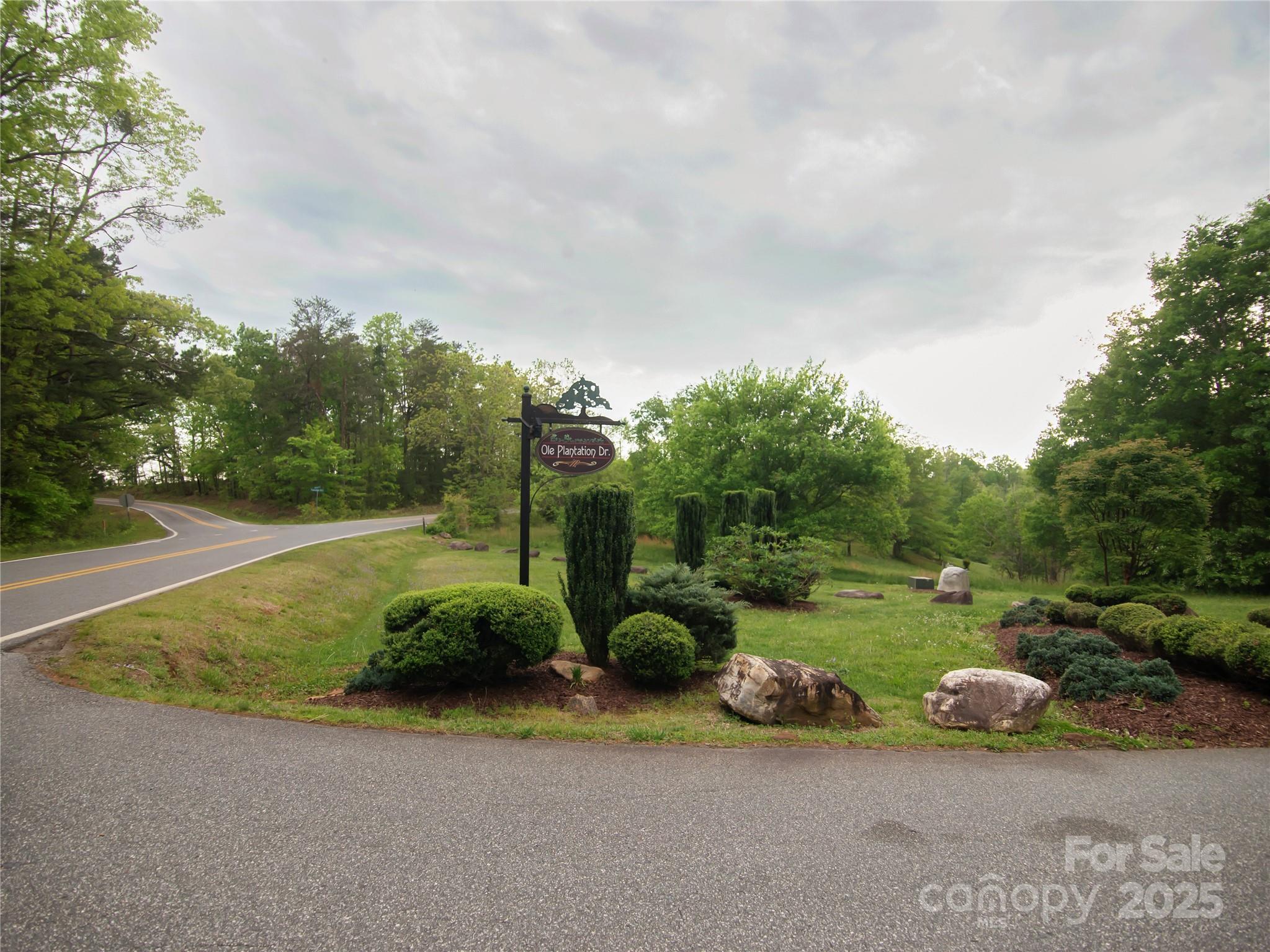 0 Ole Plantation Drive Property Photo 10