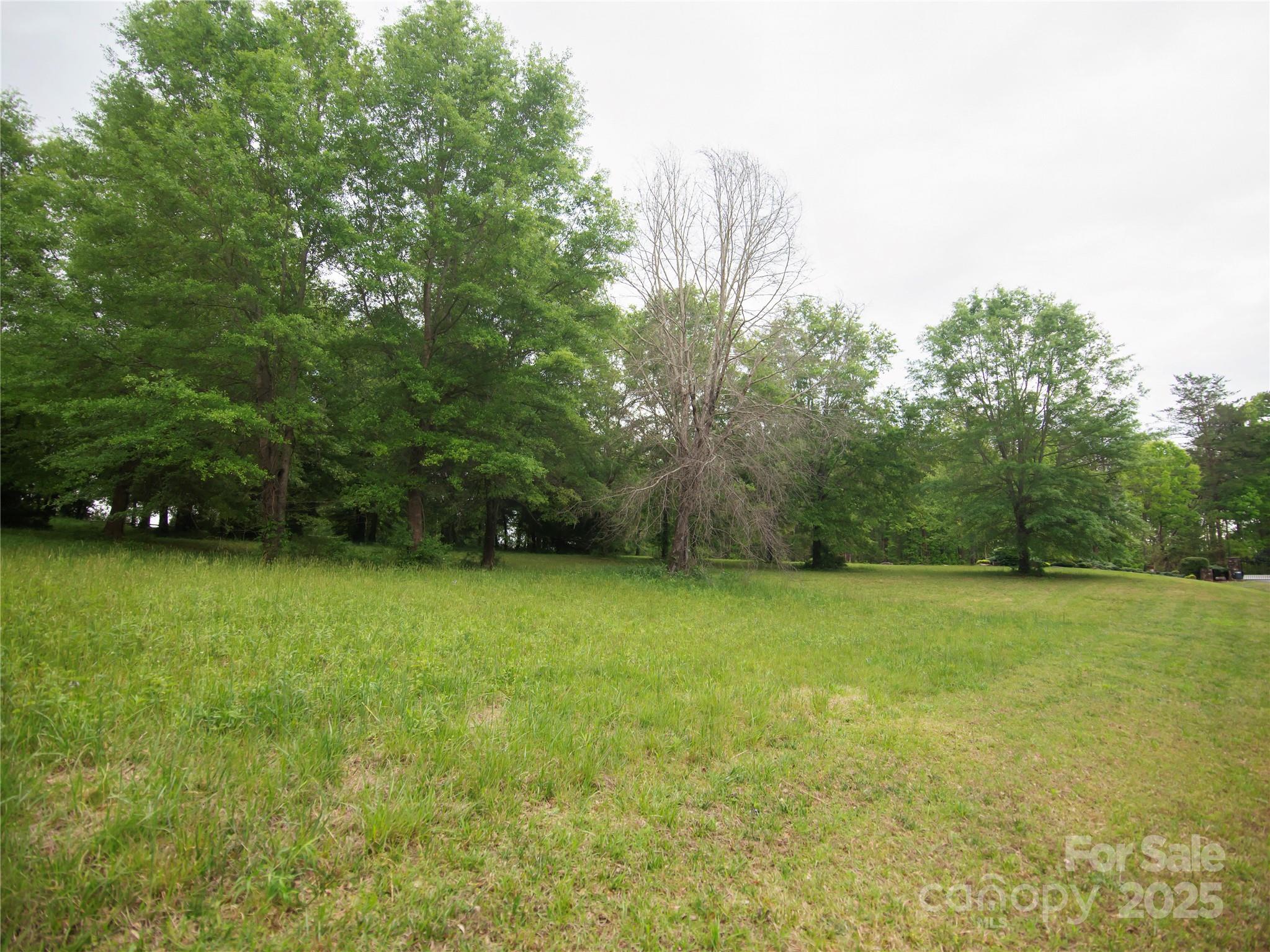 0 Ole Plantation Drive Property Photo 14