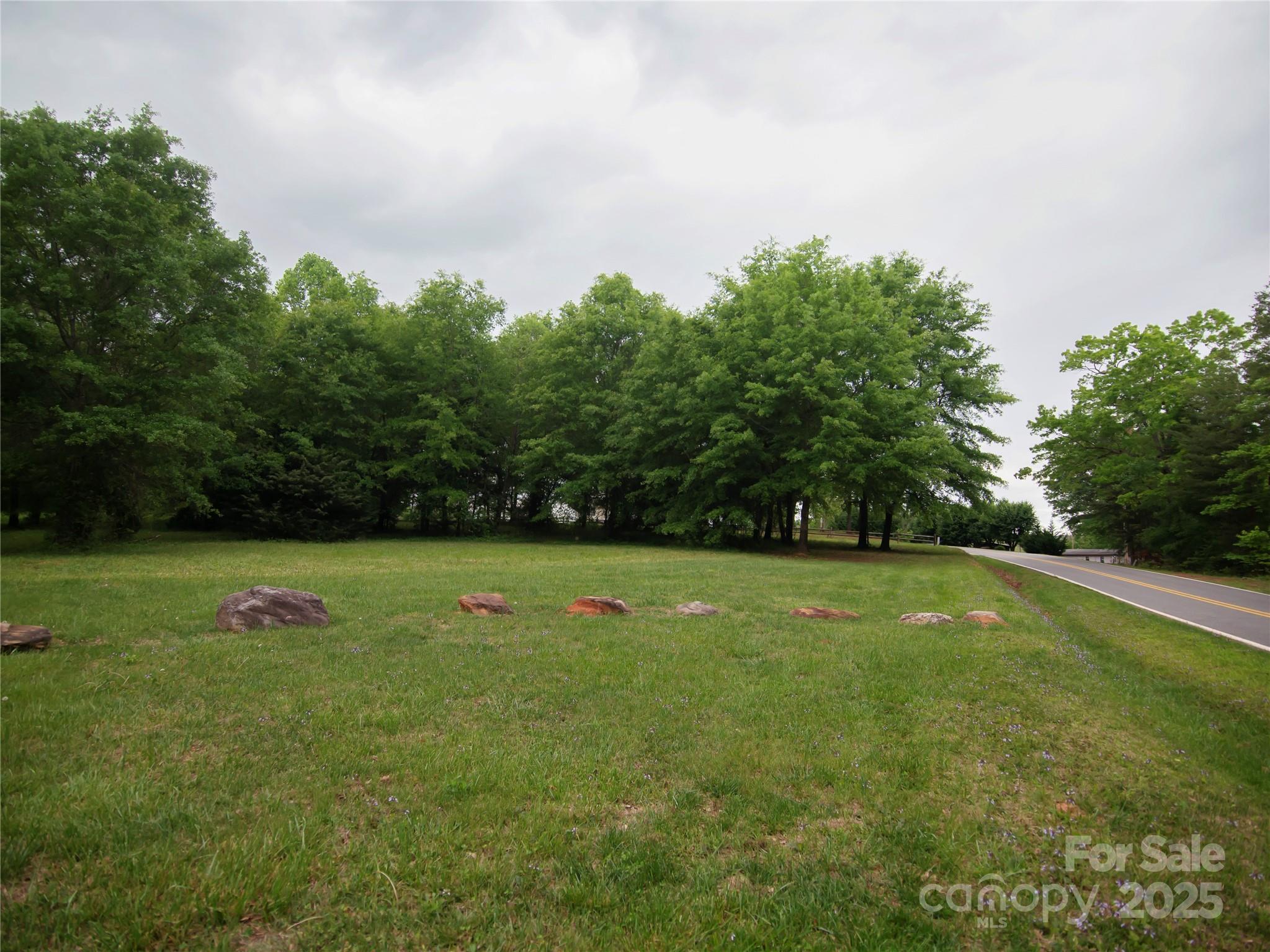 0 Ole Plantation Drive Property Photo 15