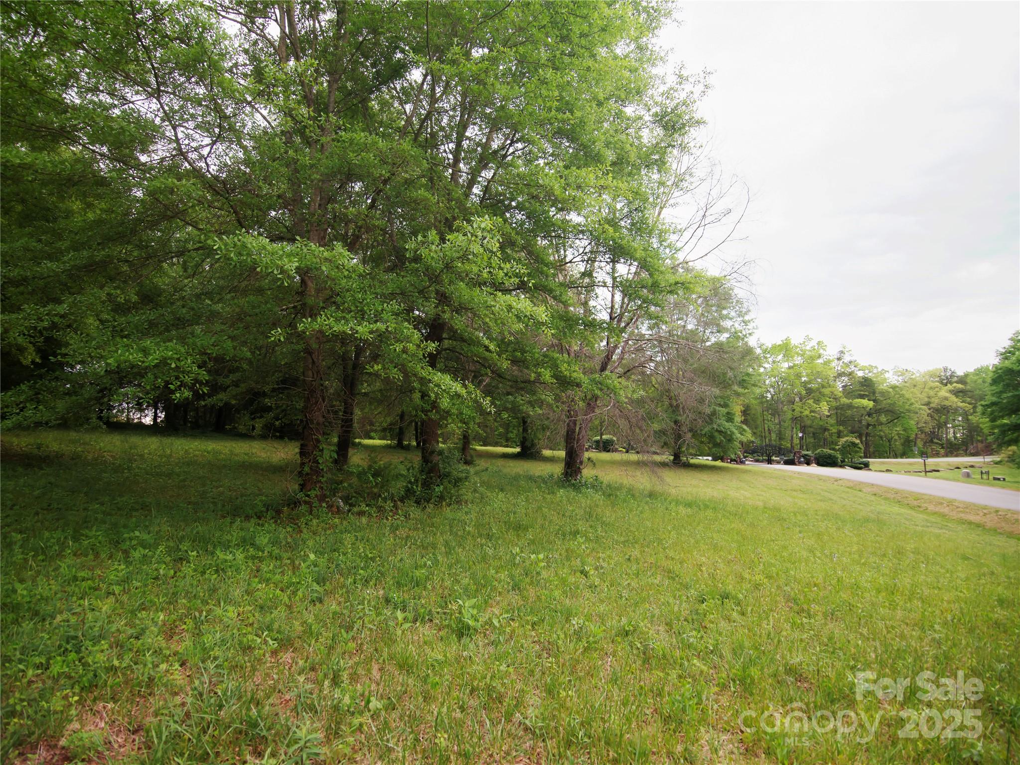 0 Ole Plantation Drive Property Photo 16