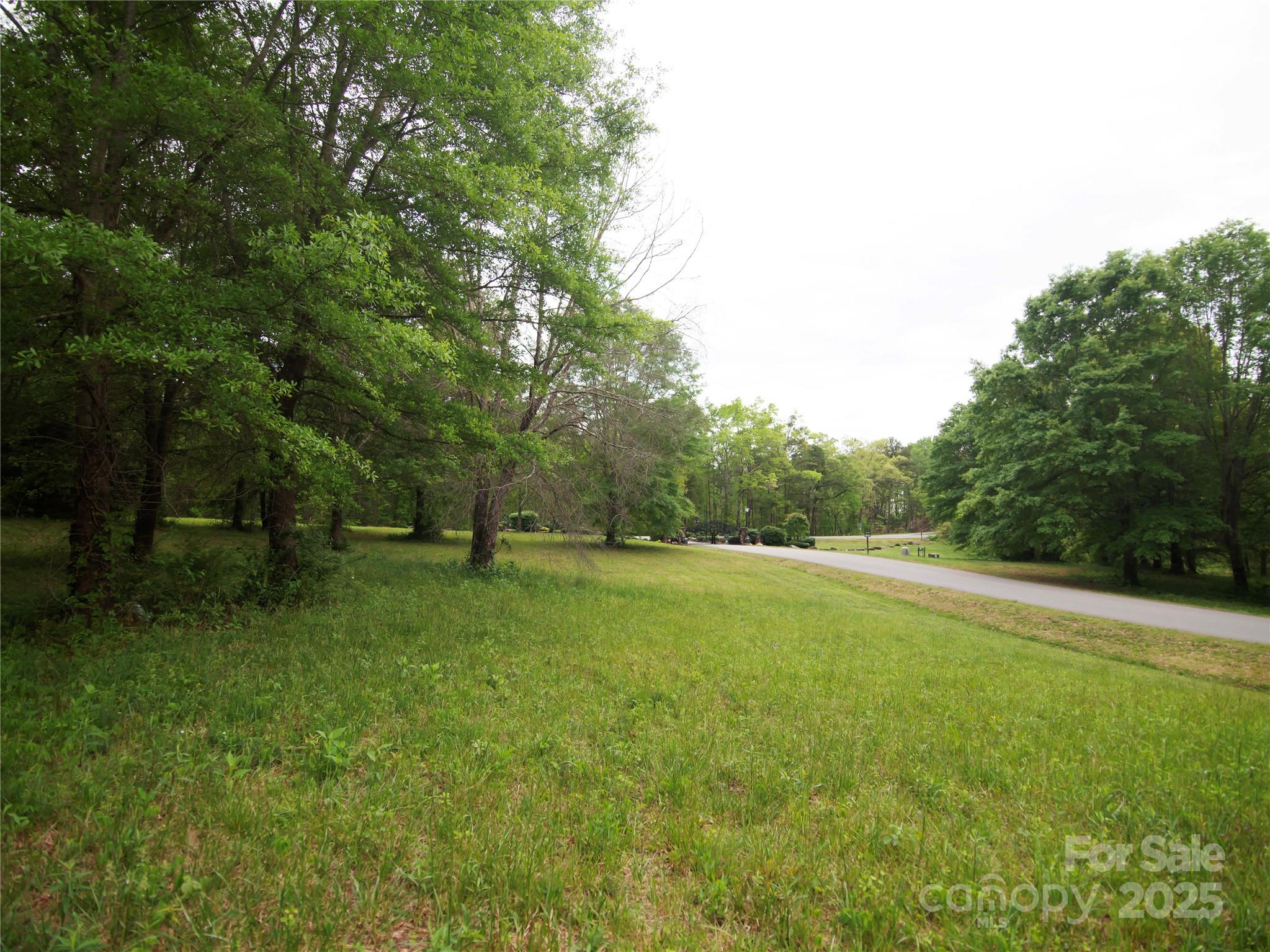 0 Ole Plantation Drive Property Photo 17