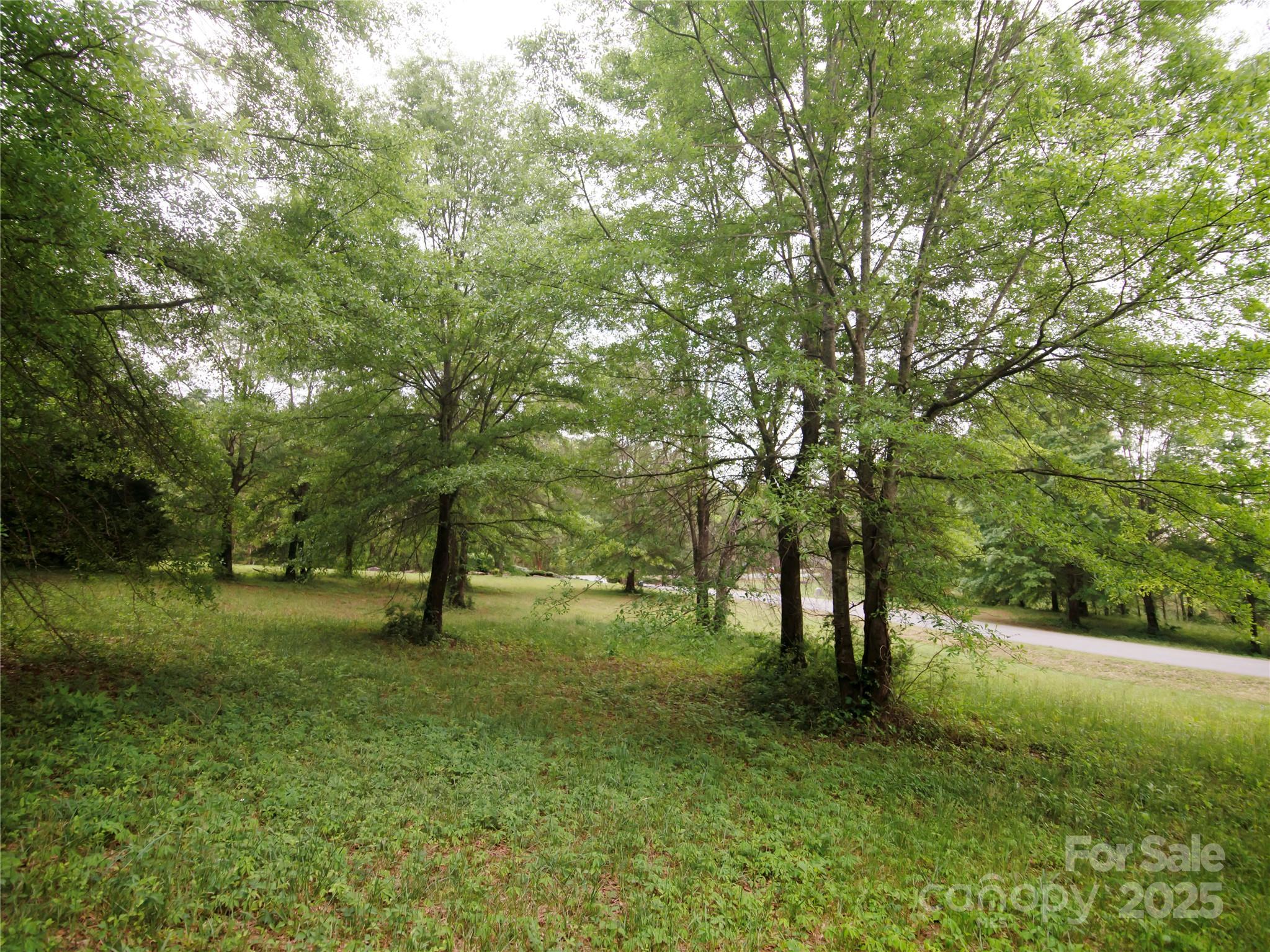 0 Ole Plantation Drive Property Photo 18