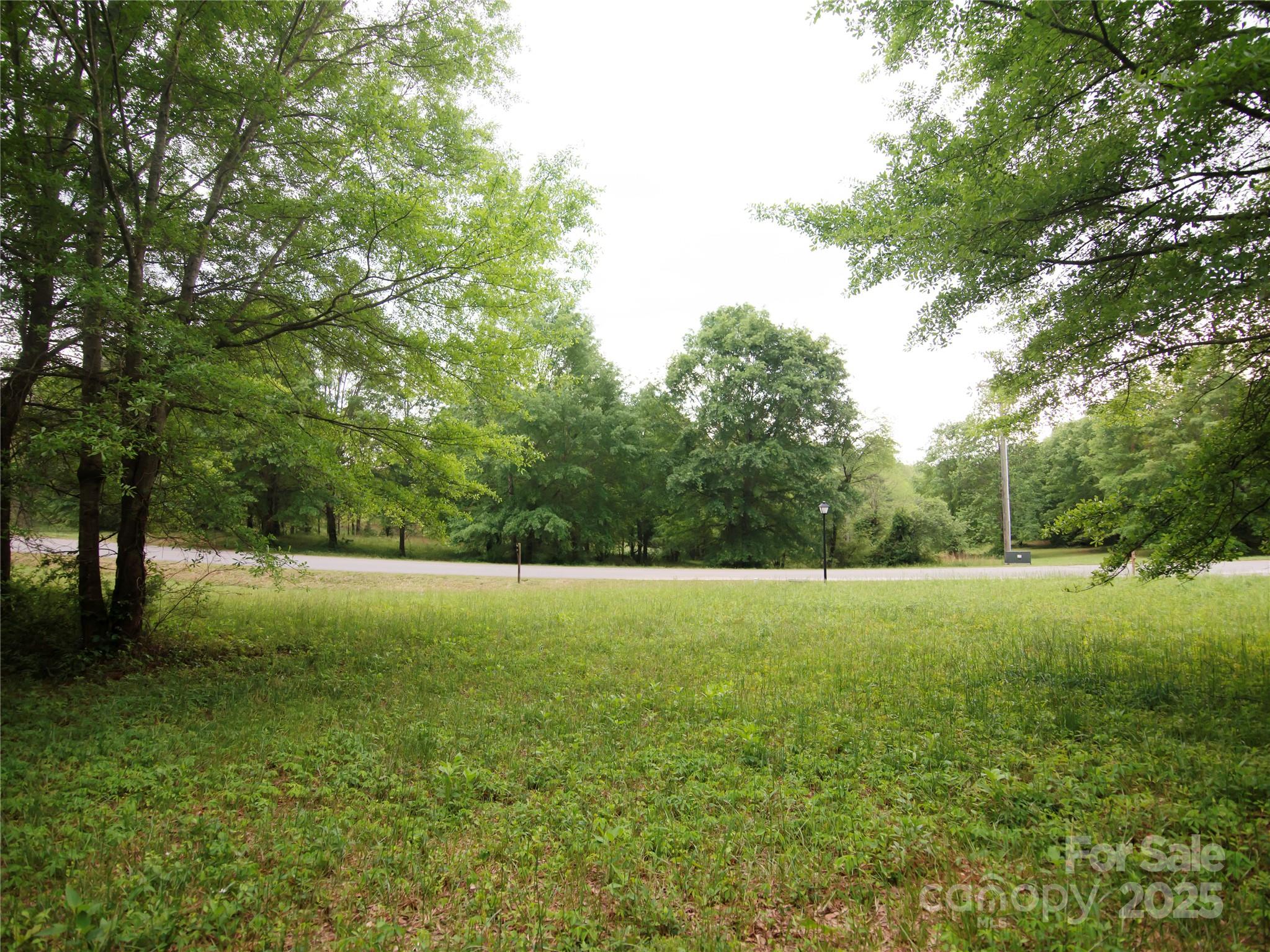 0 Ole Plantation Drive Property Photo 19