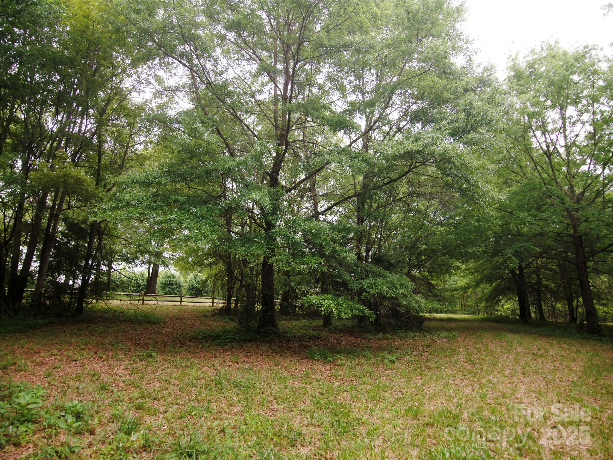 0 Ole Plantation Drive Property Photo 21