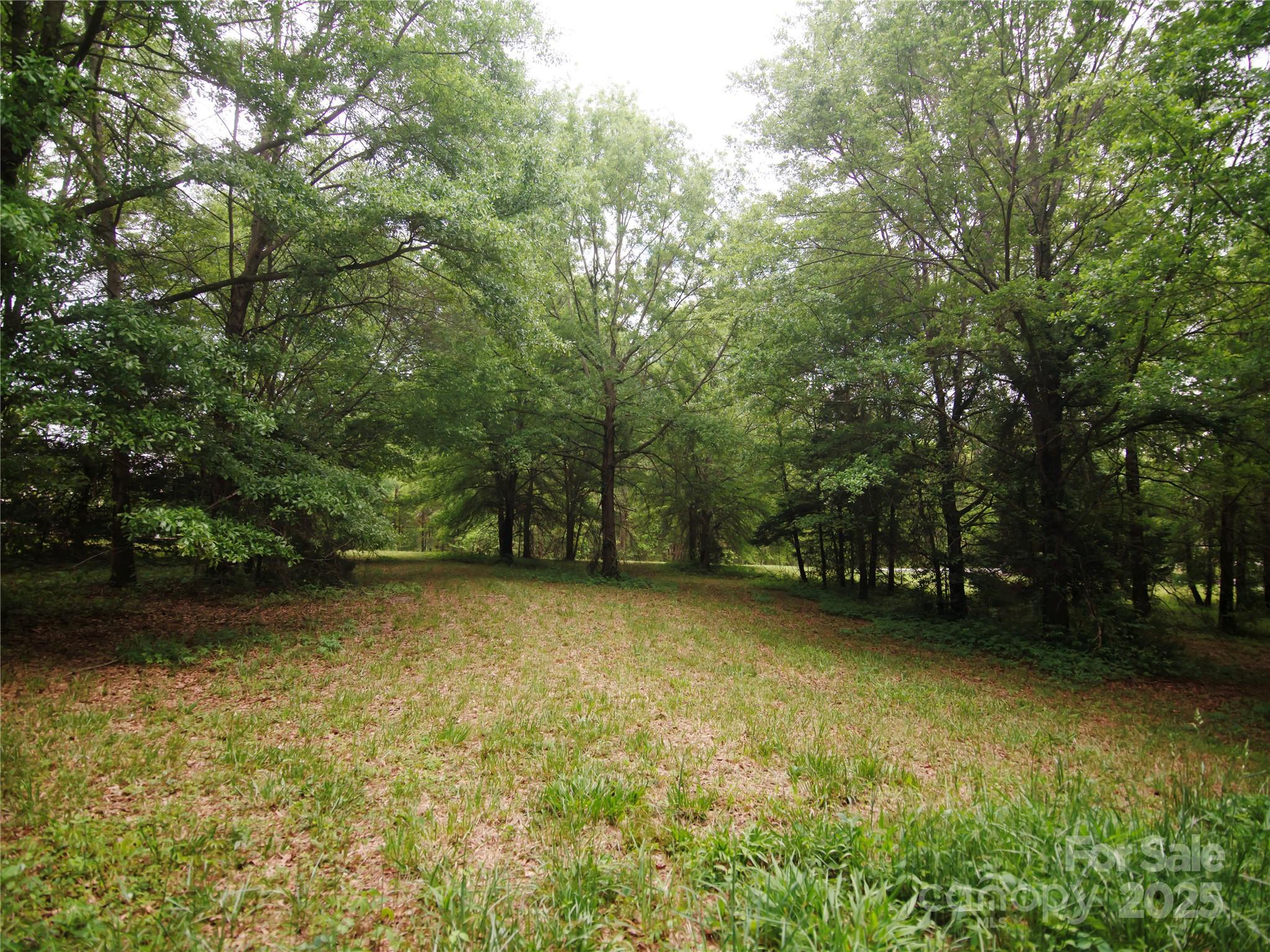 0 Ole Plantation Drive Property Photo 22