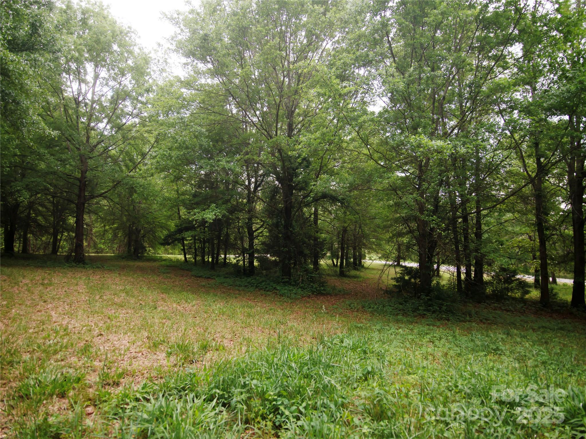 0 Ole Plantation Drive Property Photo 23