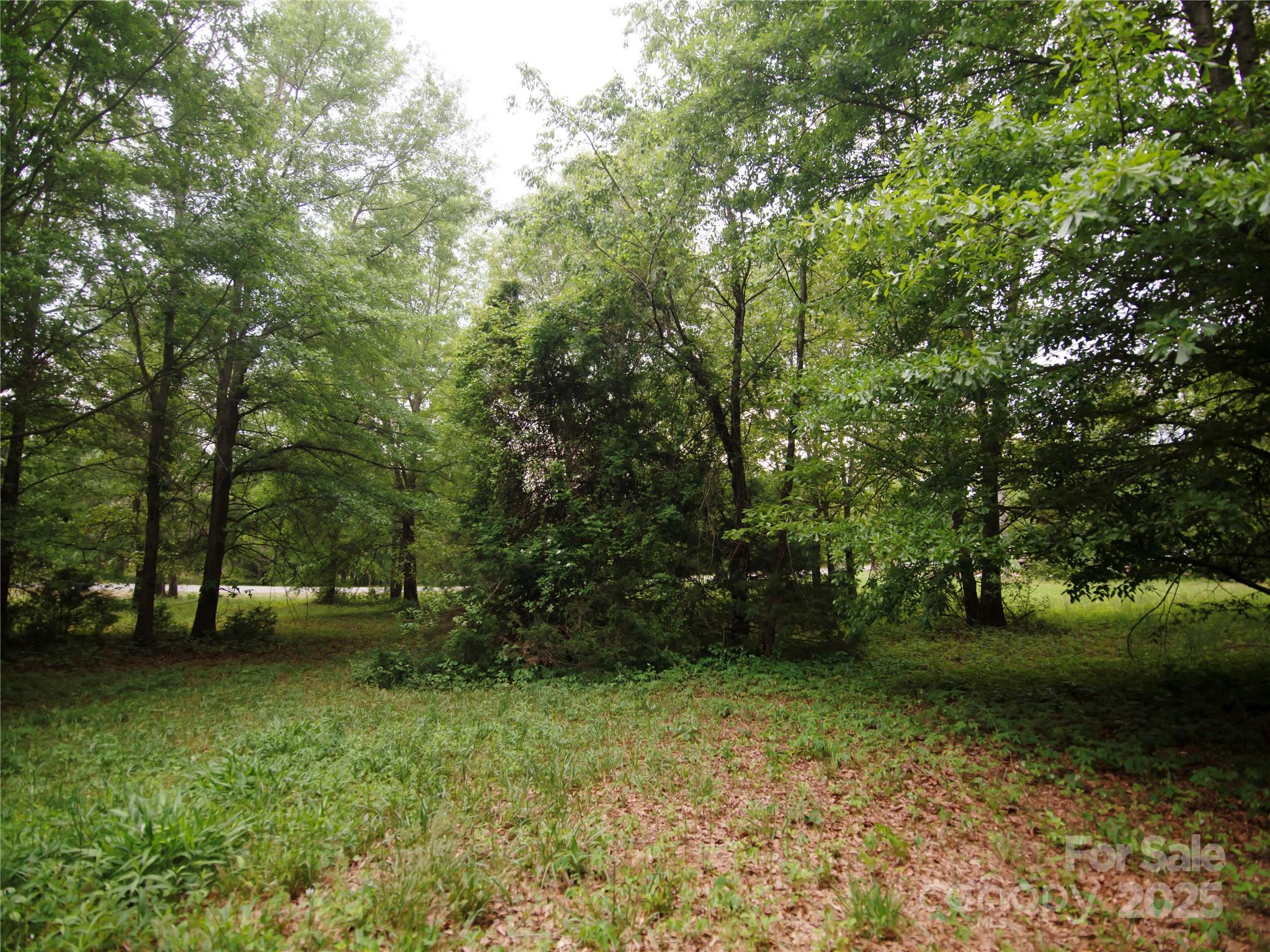 0 Ole Plantation Drive Property Photo 24