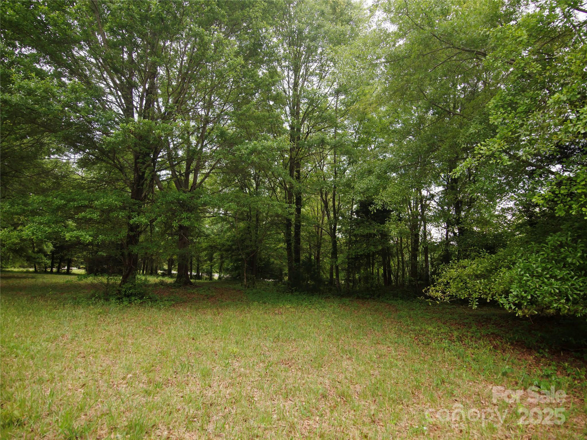 0 Ole Plantation Drive Property Photo 29