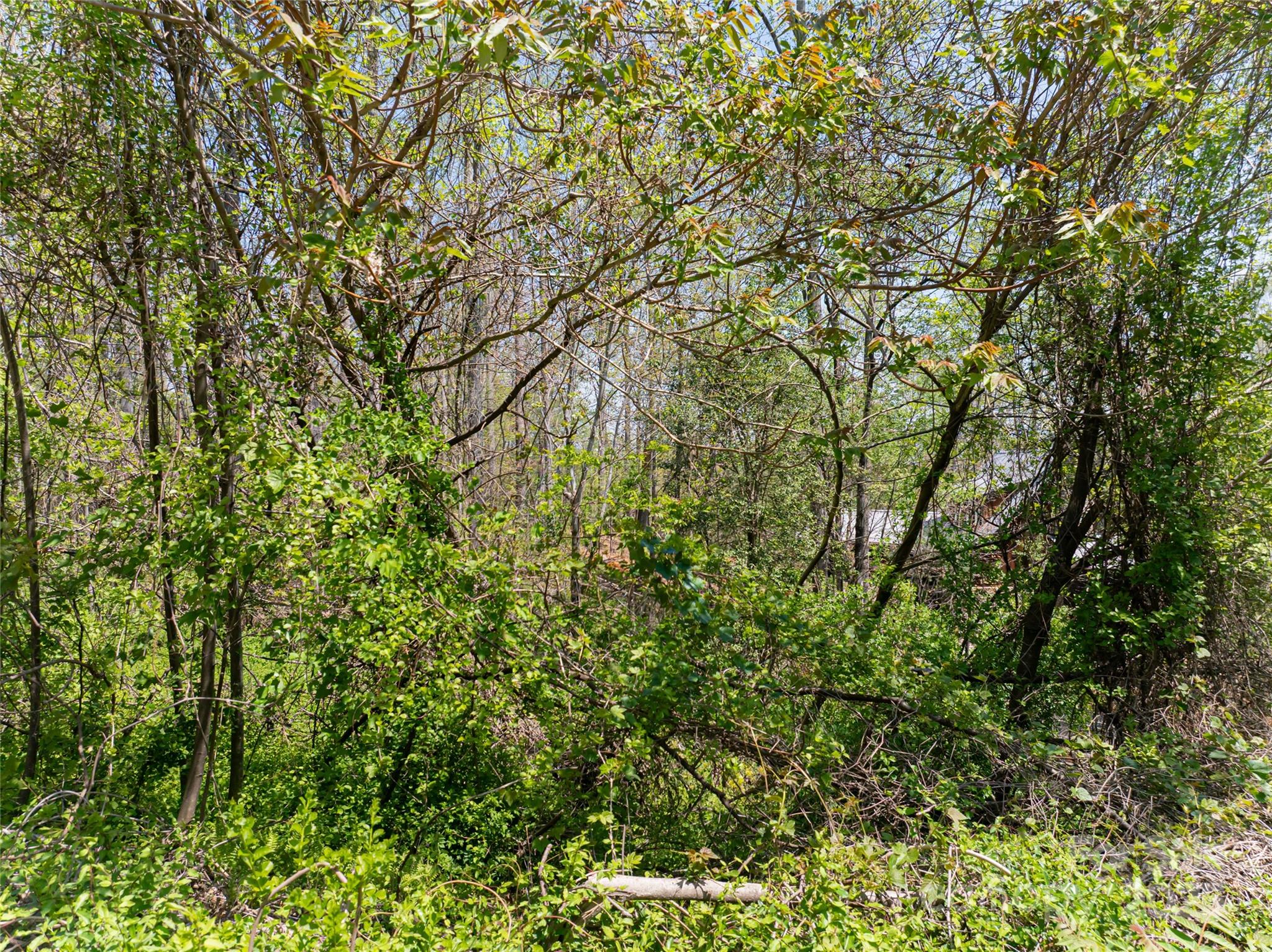 15 La Grange Drive Property Photo 8