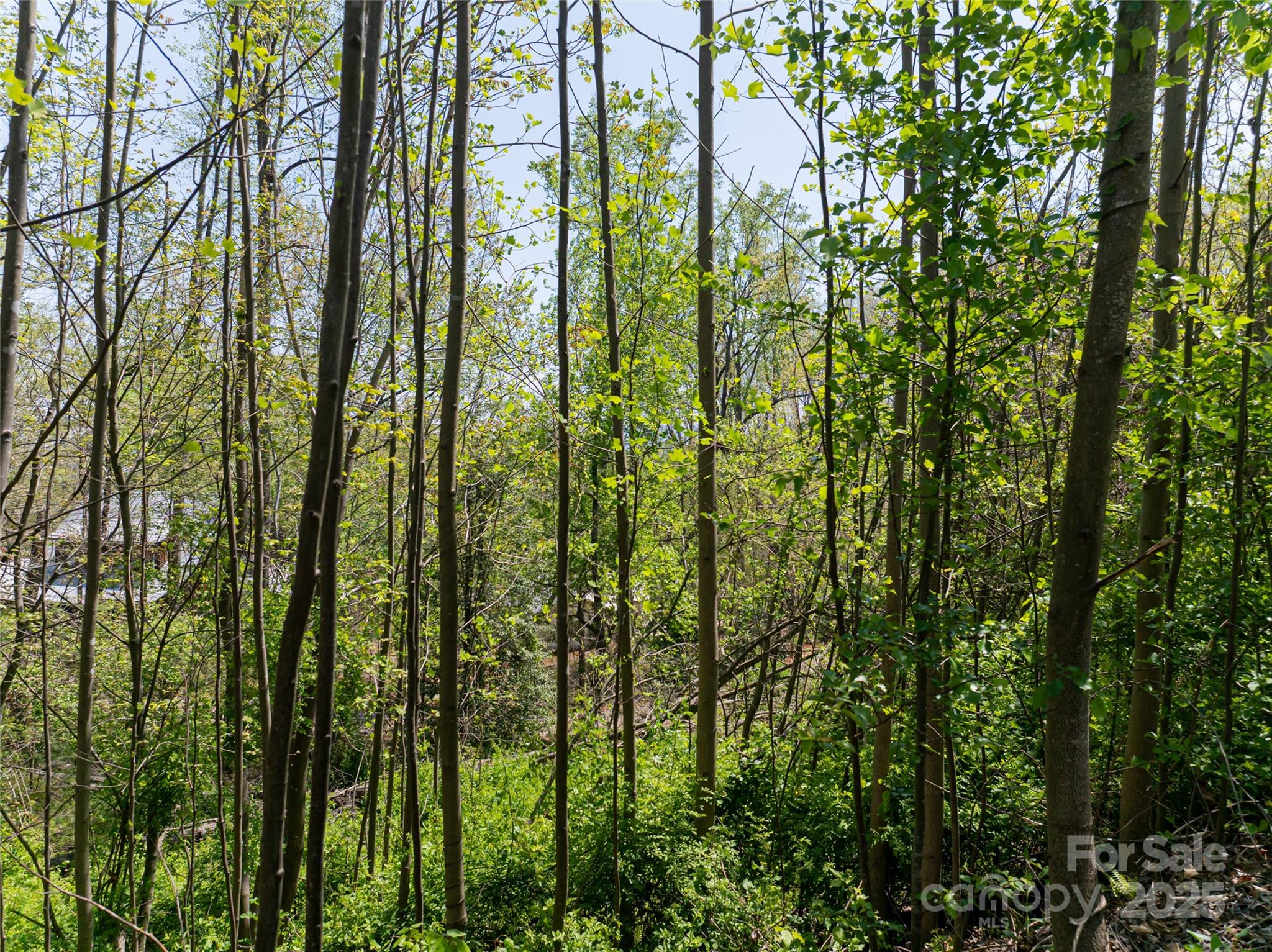 15 La Grange Drive Property Photo 10