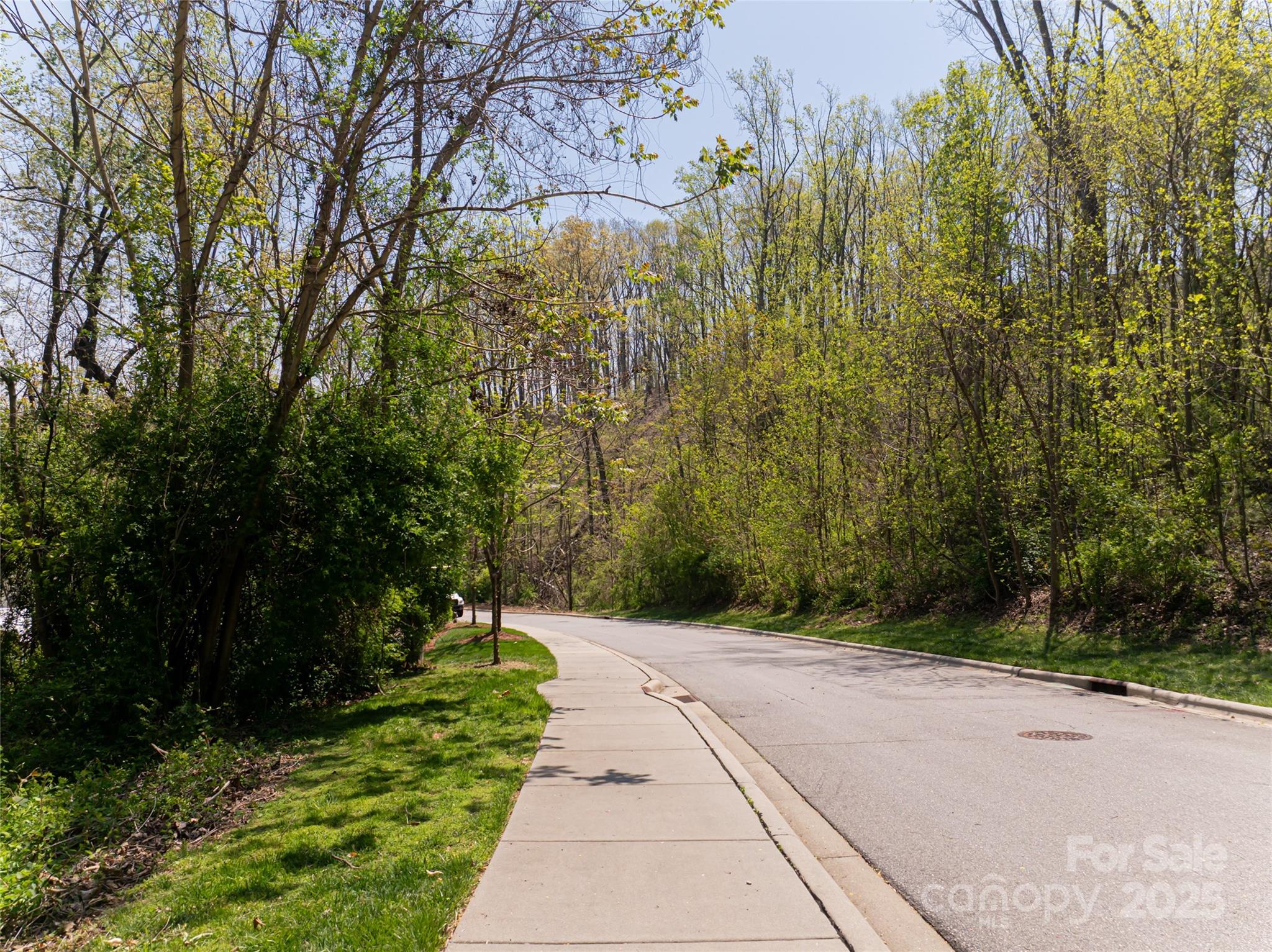 15 La Grange Drive Property Photo 12