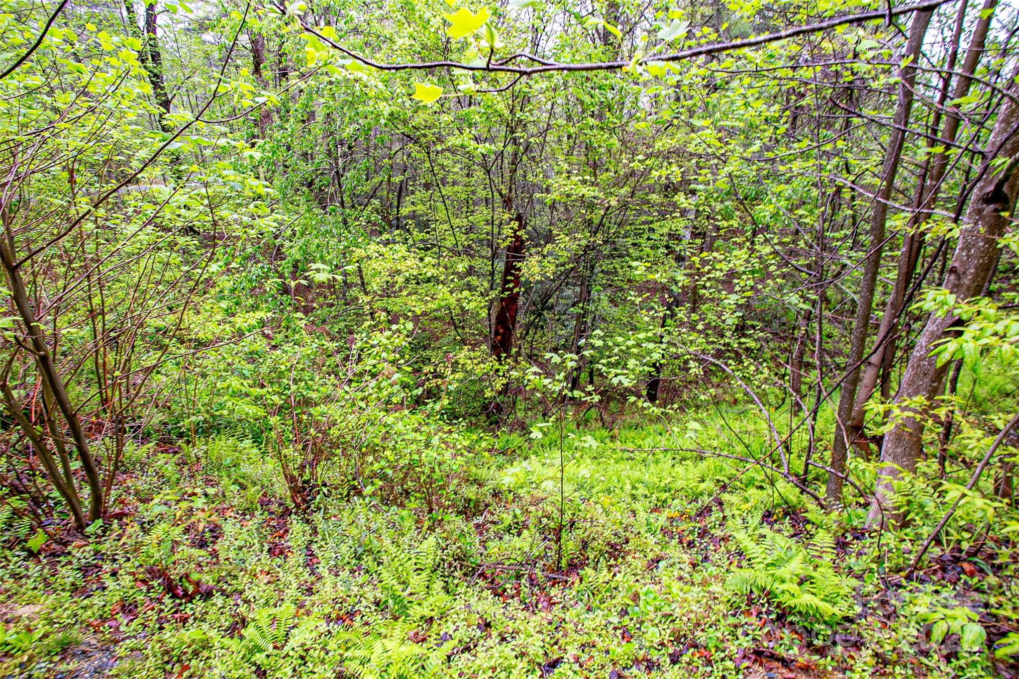 Tbd High Hemlock Trail 46 Property Photo 4