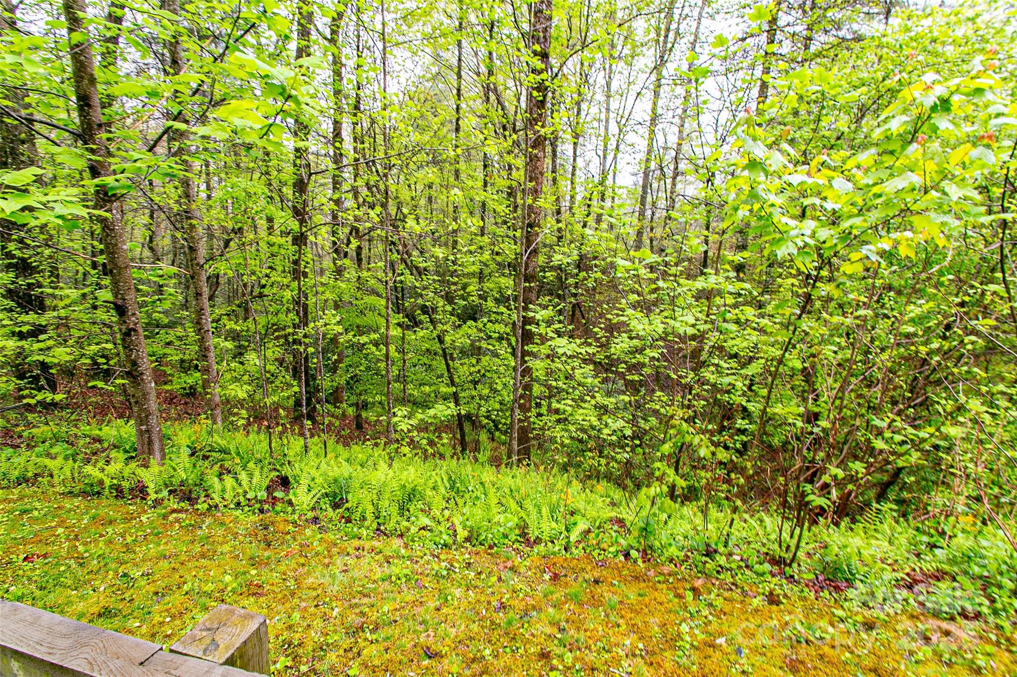 Tbd High Hemlock Trail 46 Property Photo 5