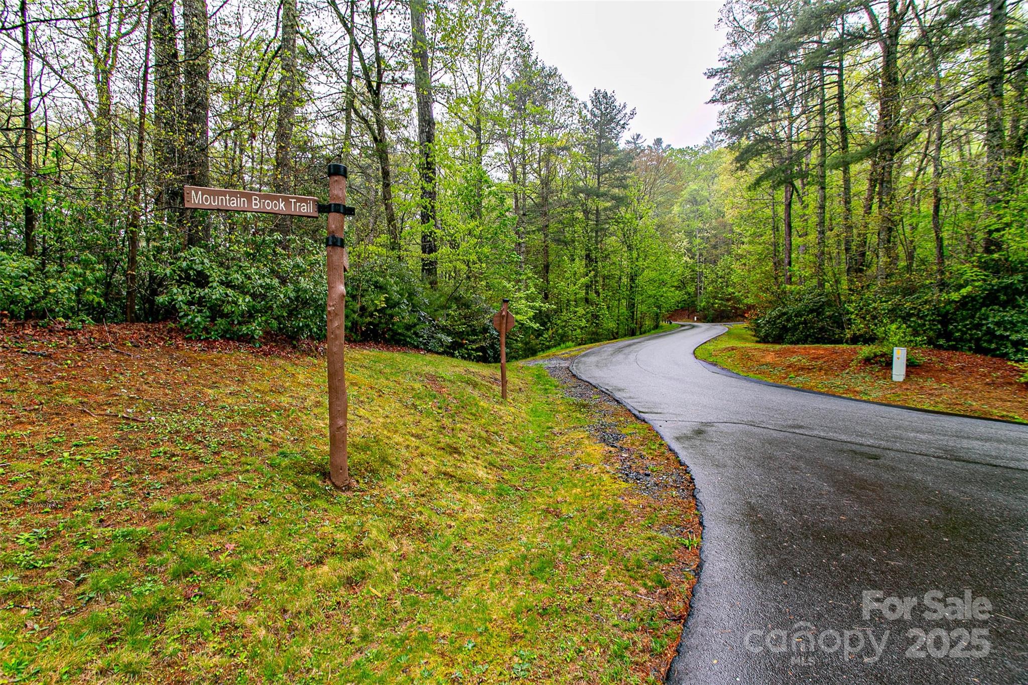 Tbd High Hemlock Trail 46 Property Photo 6