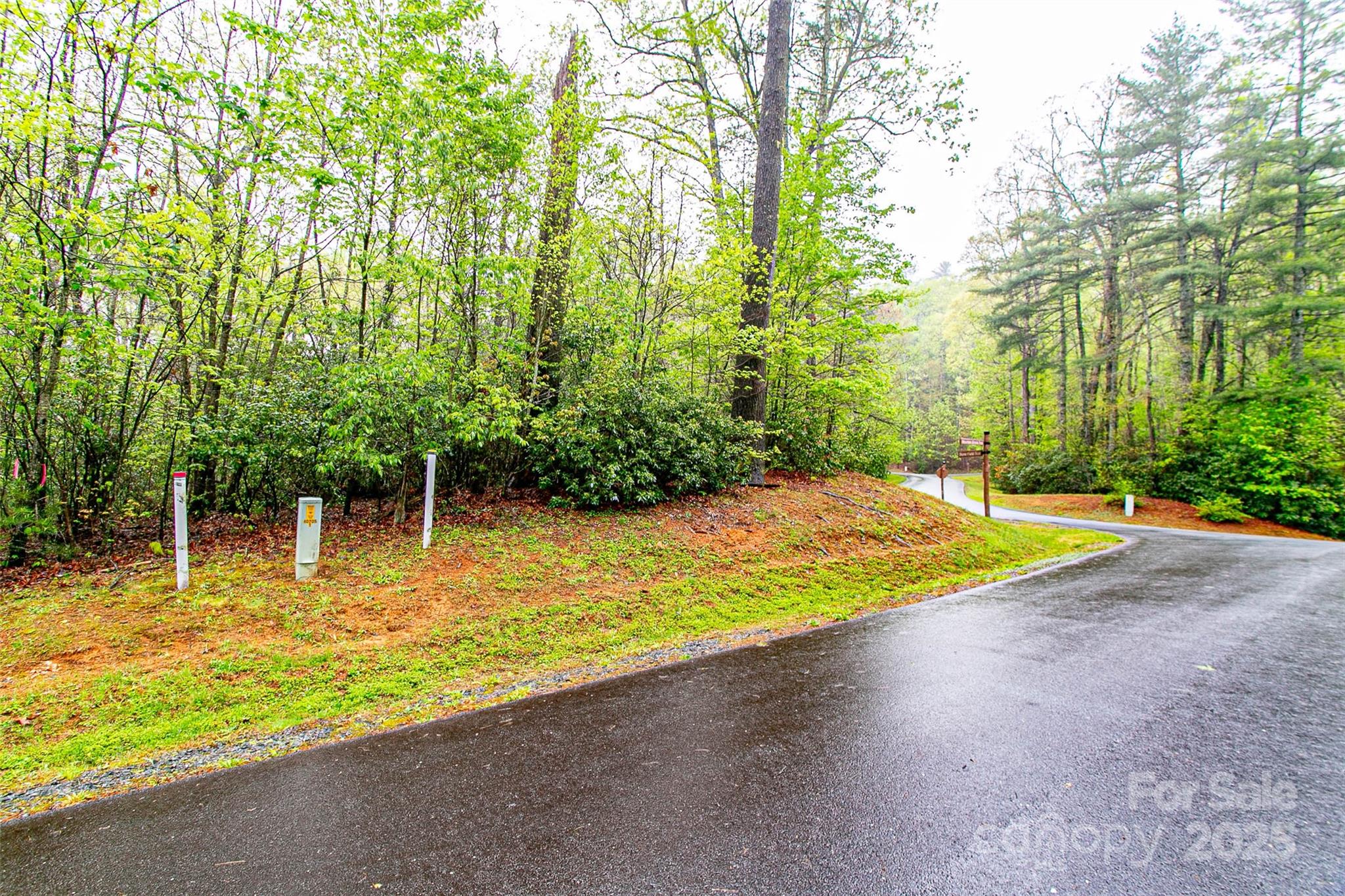 Tbd High Hemlock Trail 46 Property Photo 7