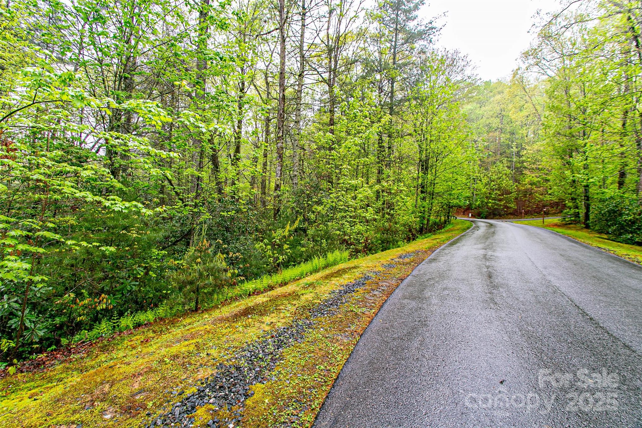 Tbd High Hemlock Trail 46 Property Photo 8