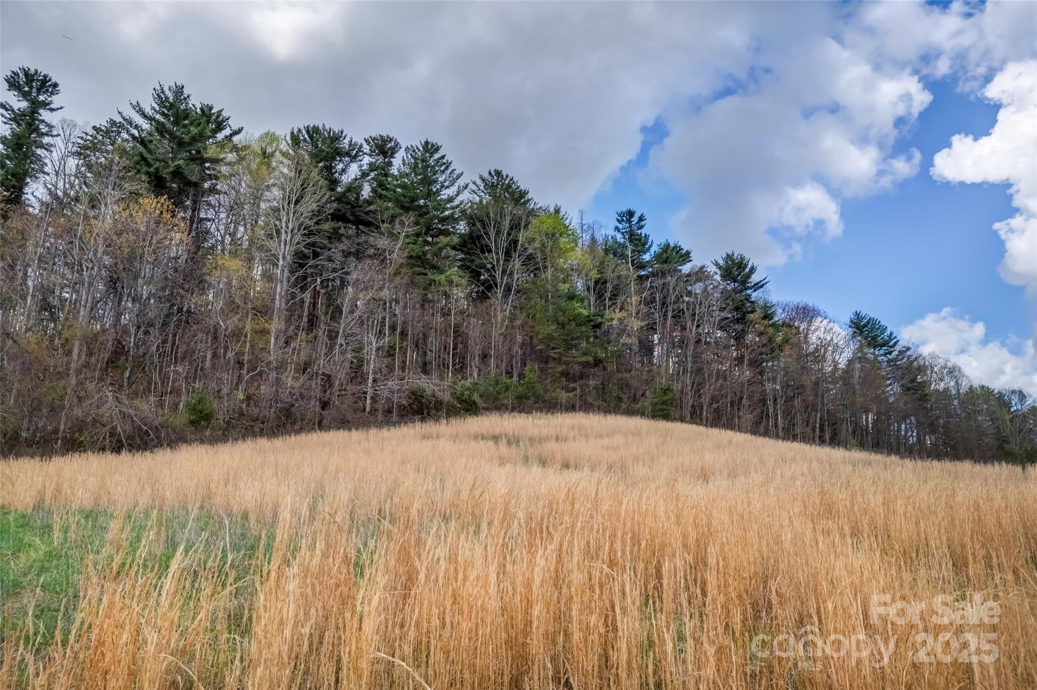 000 Union Hill Road Property Photo 2