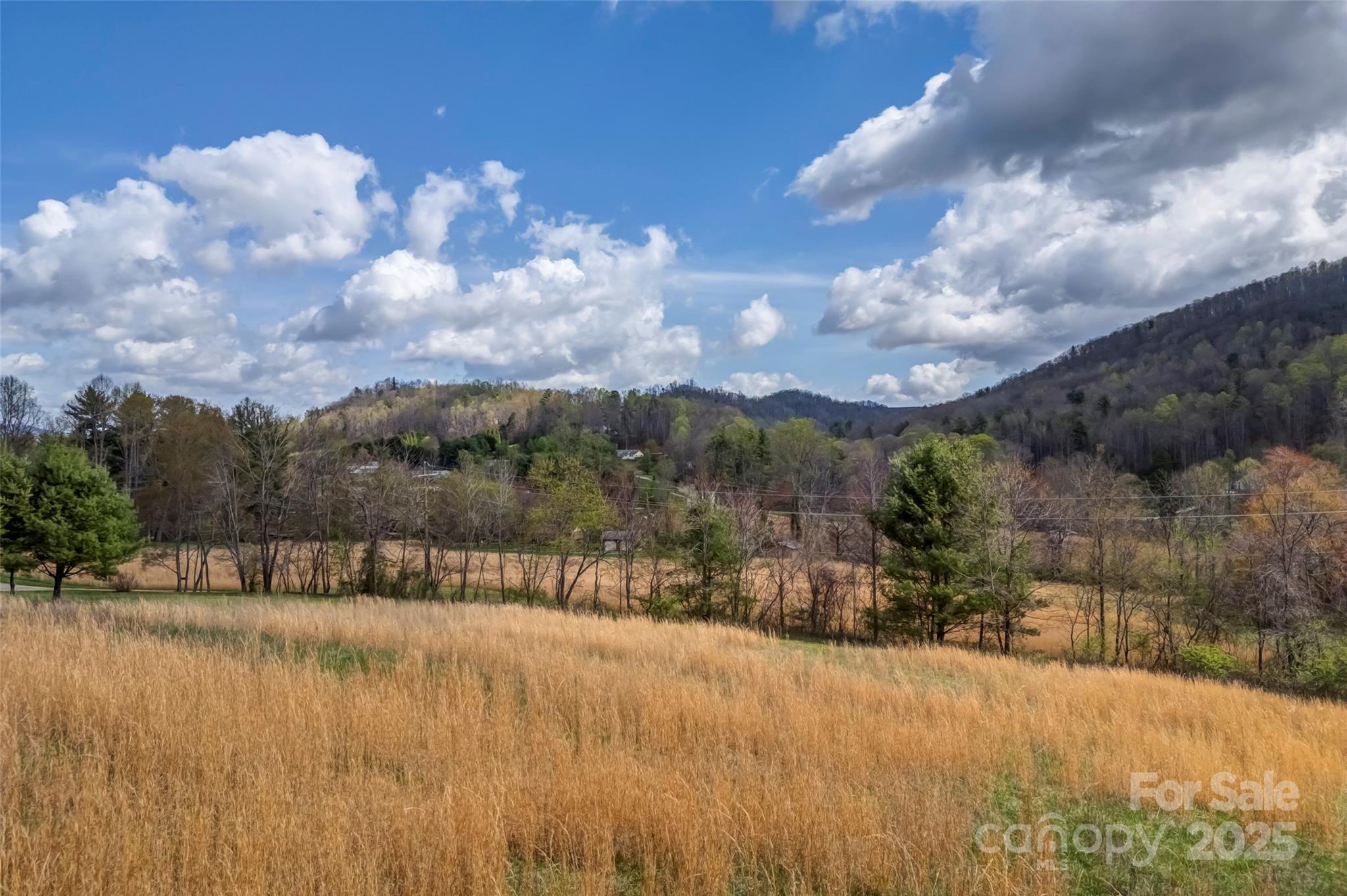 000 Union Hill Road Property Photo 4