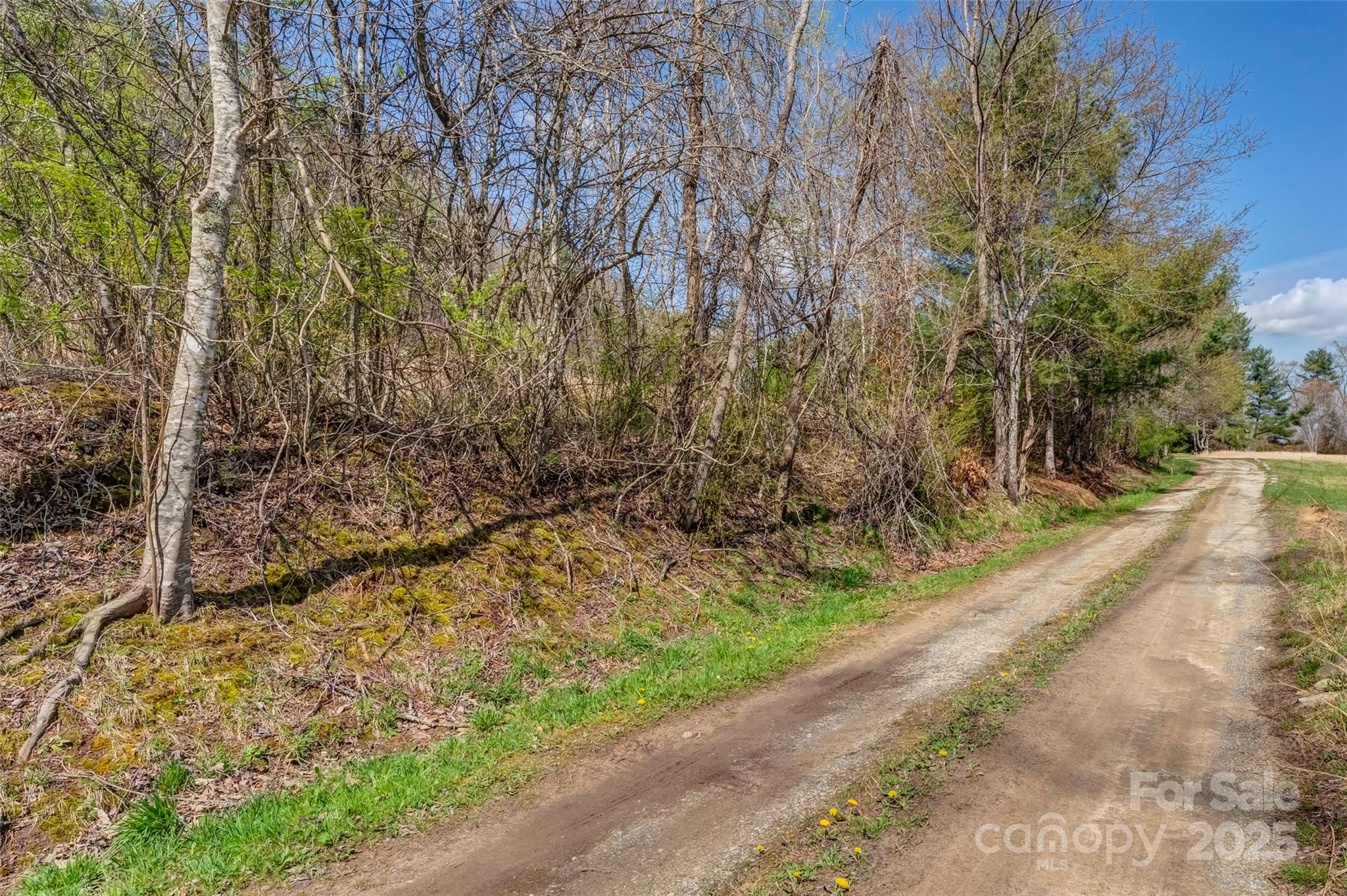 000 Union Hill Road Property Photo 12