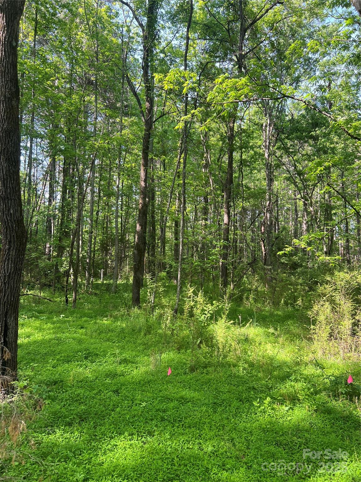 41010 Nc Hwy 740 Highway 1 Property Photo