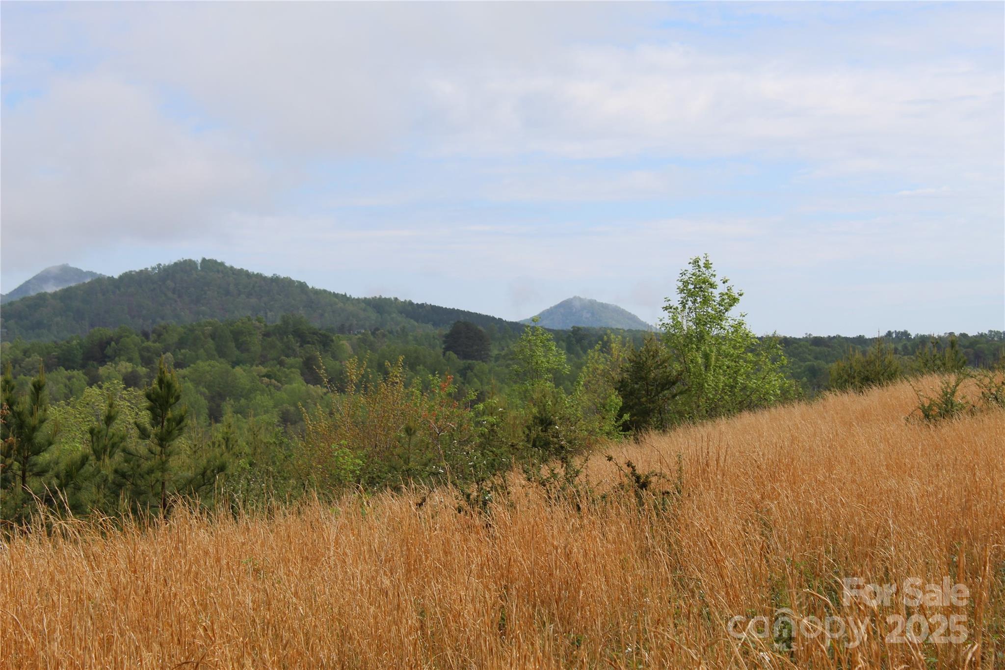 332 Parris Road Property Photo