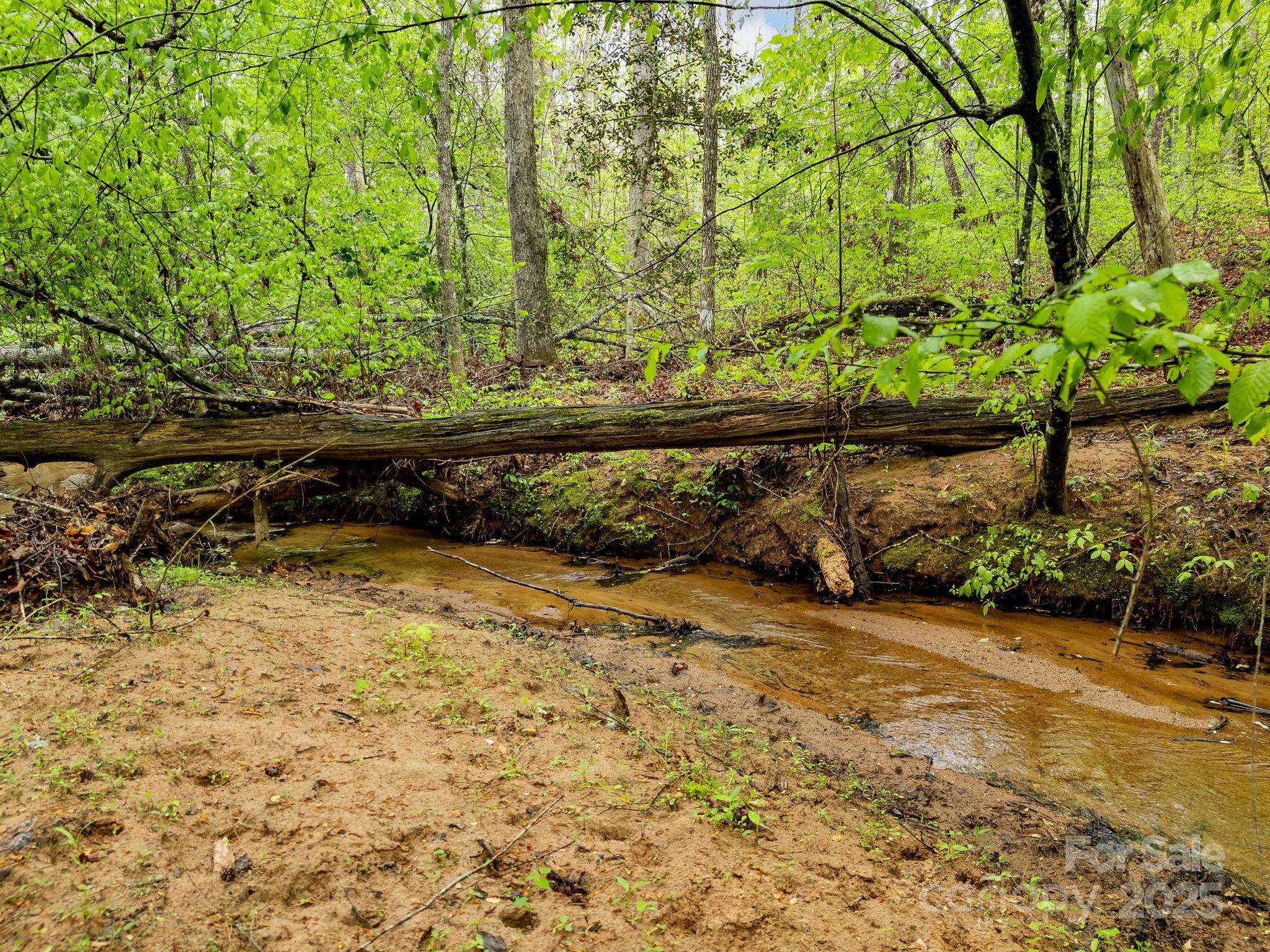 241 Pinefield Drive Property Photo 42