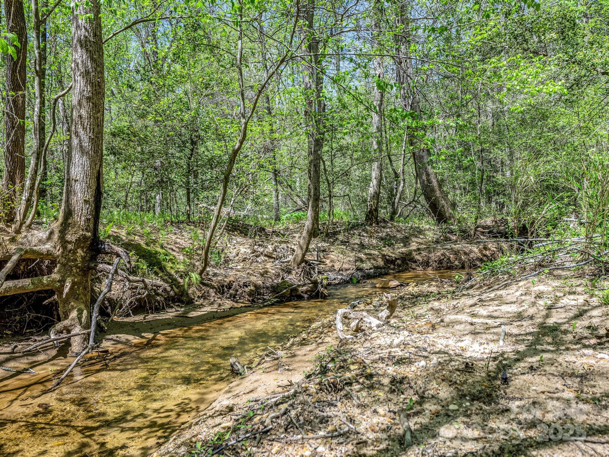 241 Pinefield Drive Property Photo 43