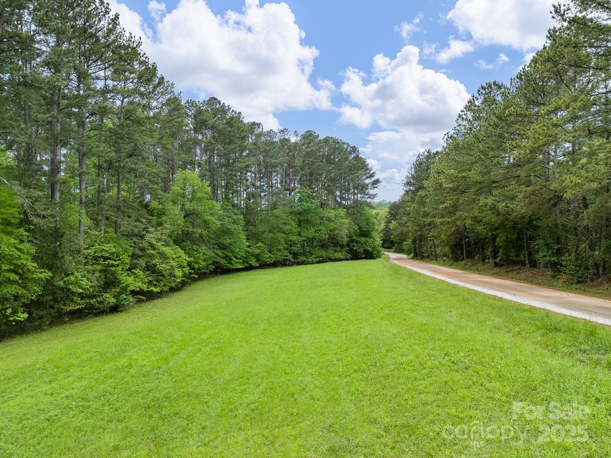 241 Pinefield Drive Property Photo 45