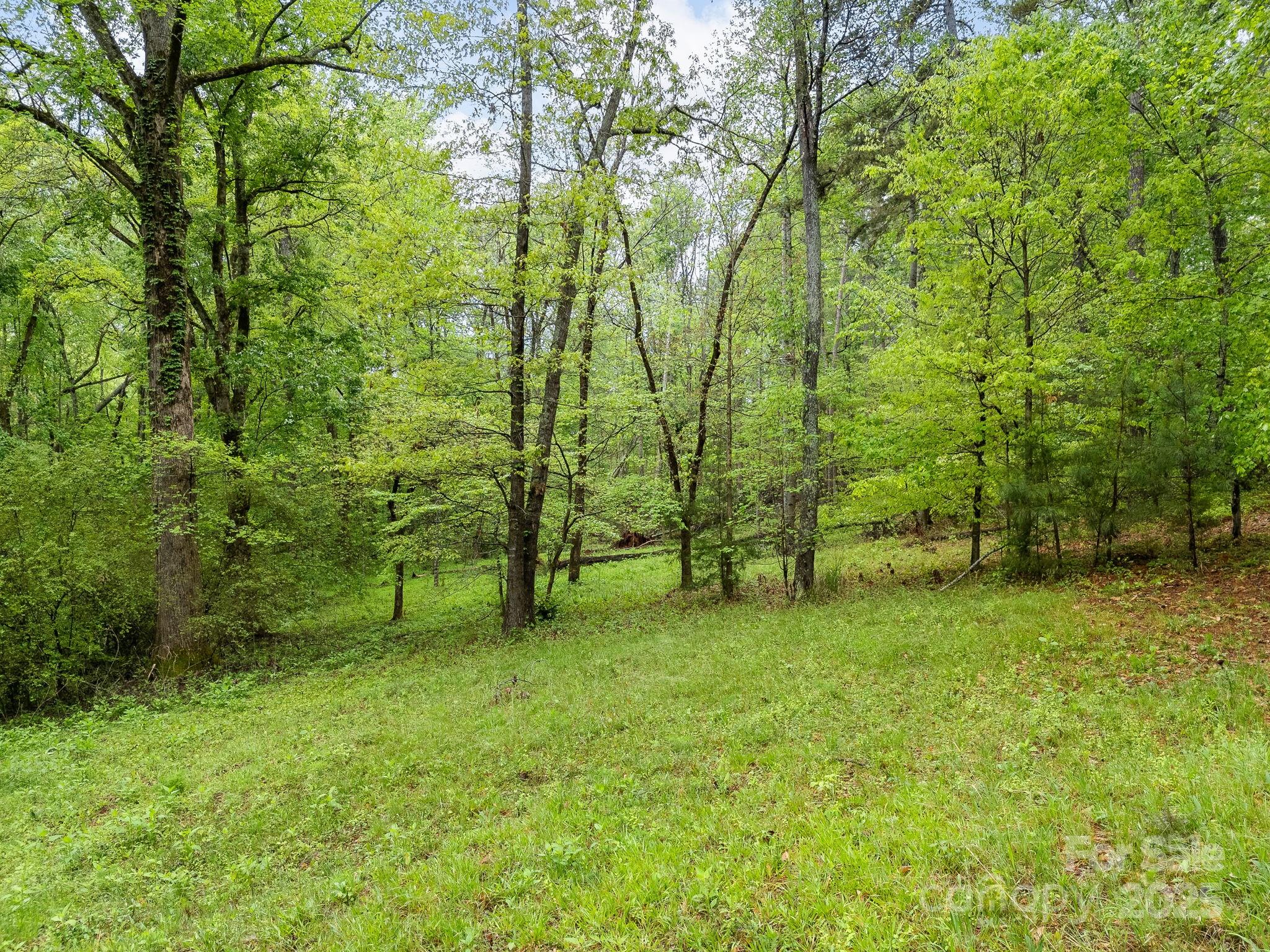 241 Pinefield Drive Property Photo 46