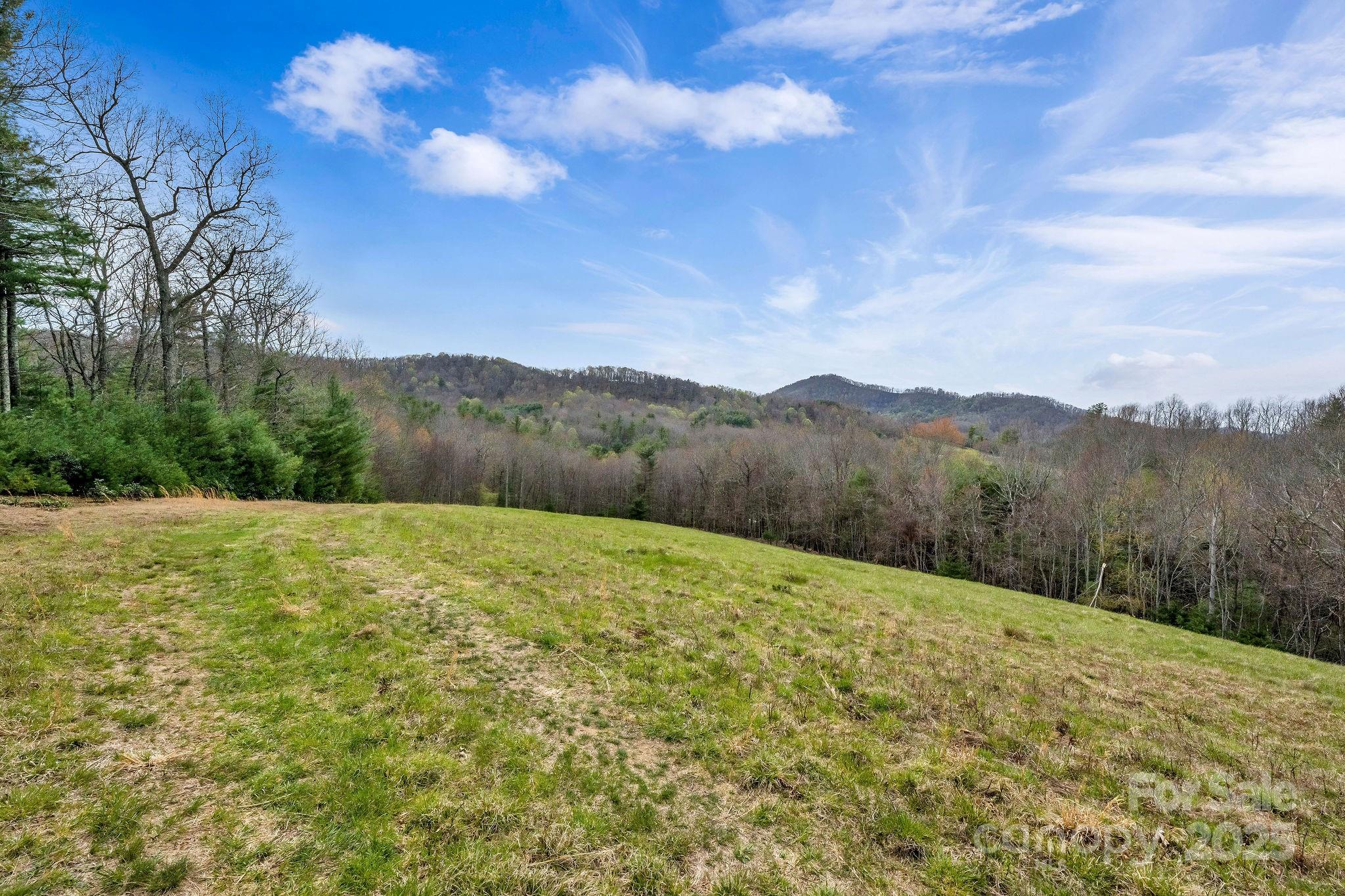 000 Little Peak Creek Road Property Photo 3