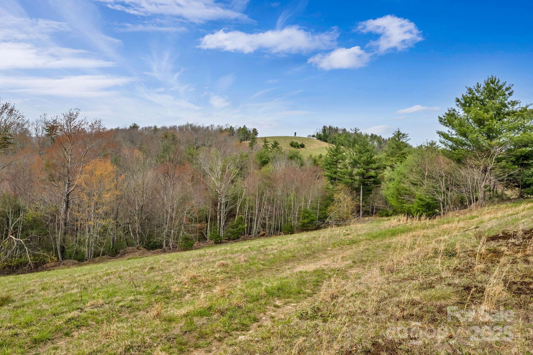 000 Little Peak Creek Road Property Photo 4