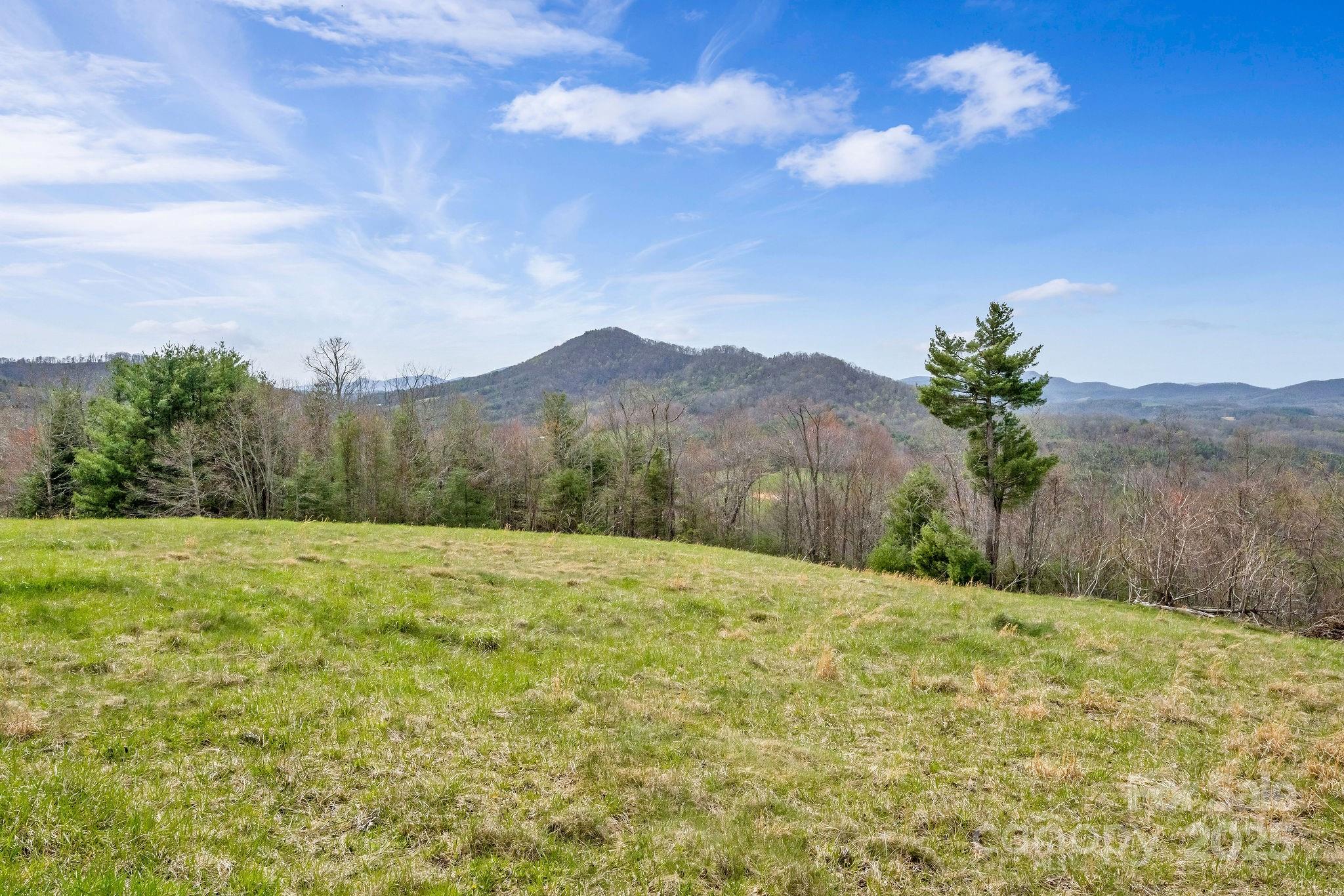 000 Little Peak Creek Road Property Photo 5