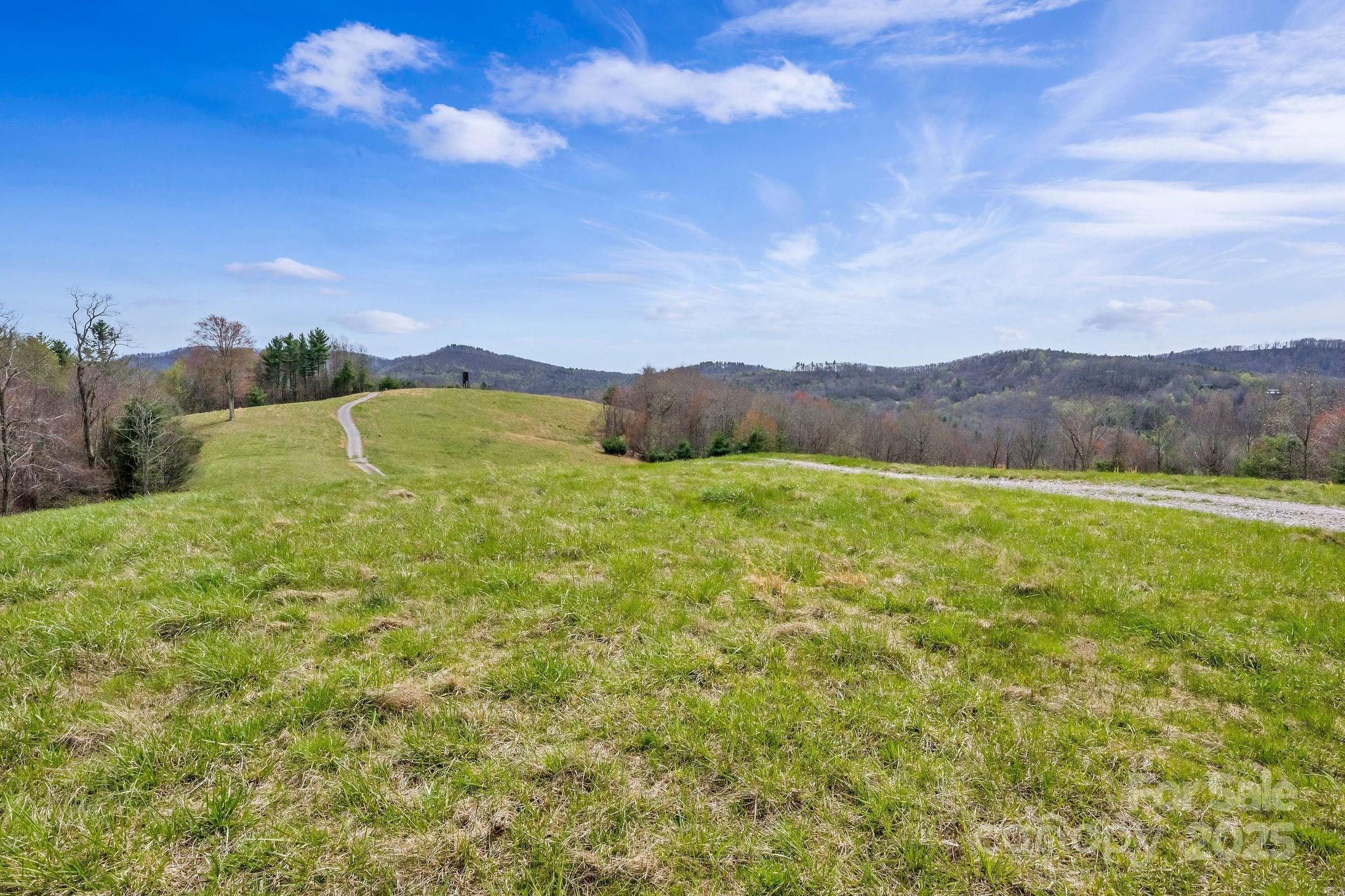000 Little Peak Creek Road Property Photo 6