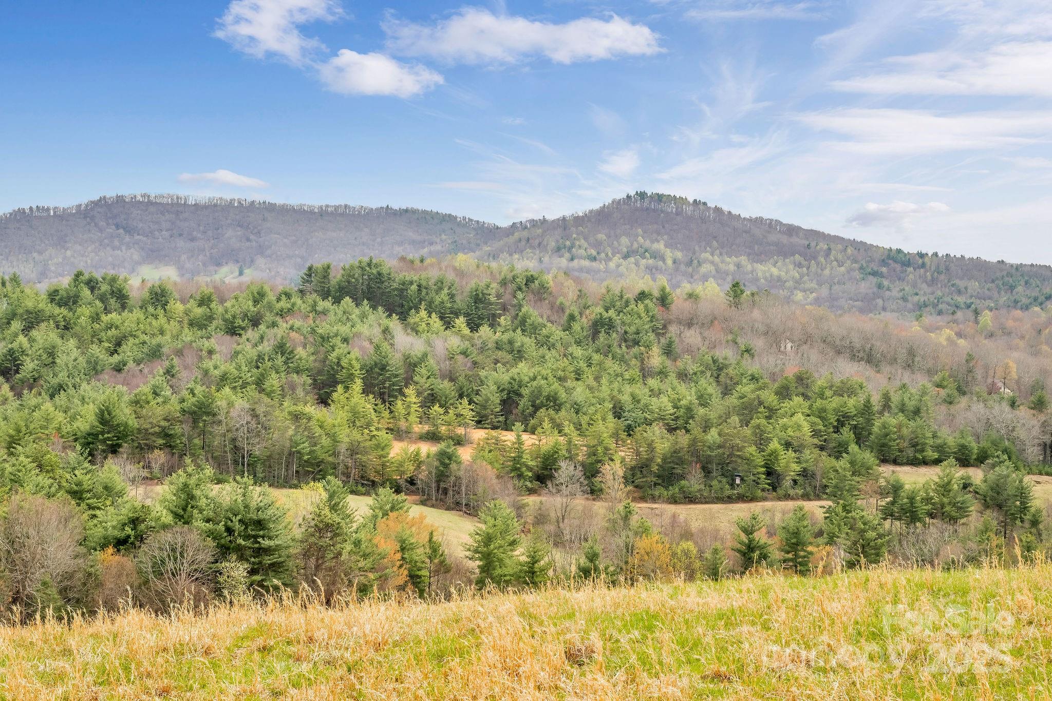 000 Little Peak Creek Road Property Photo 7