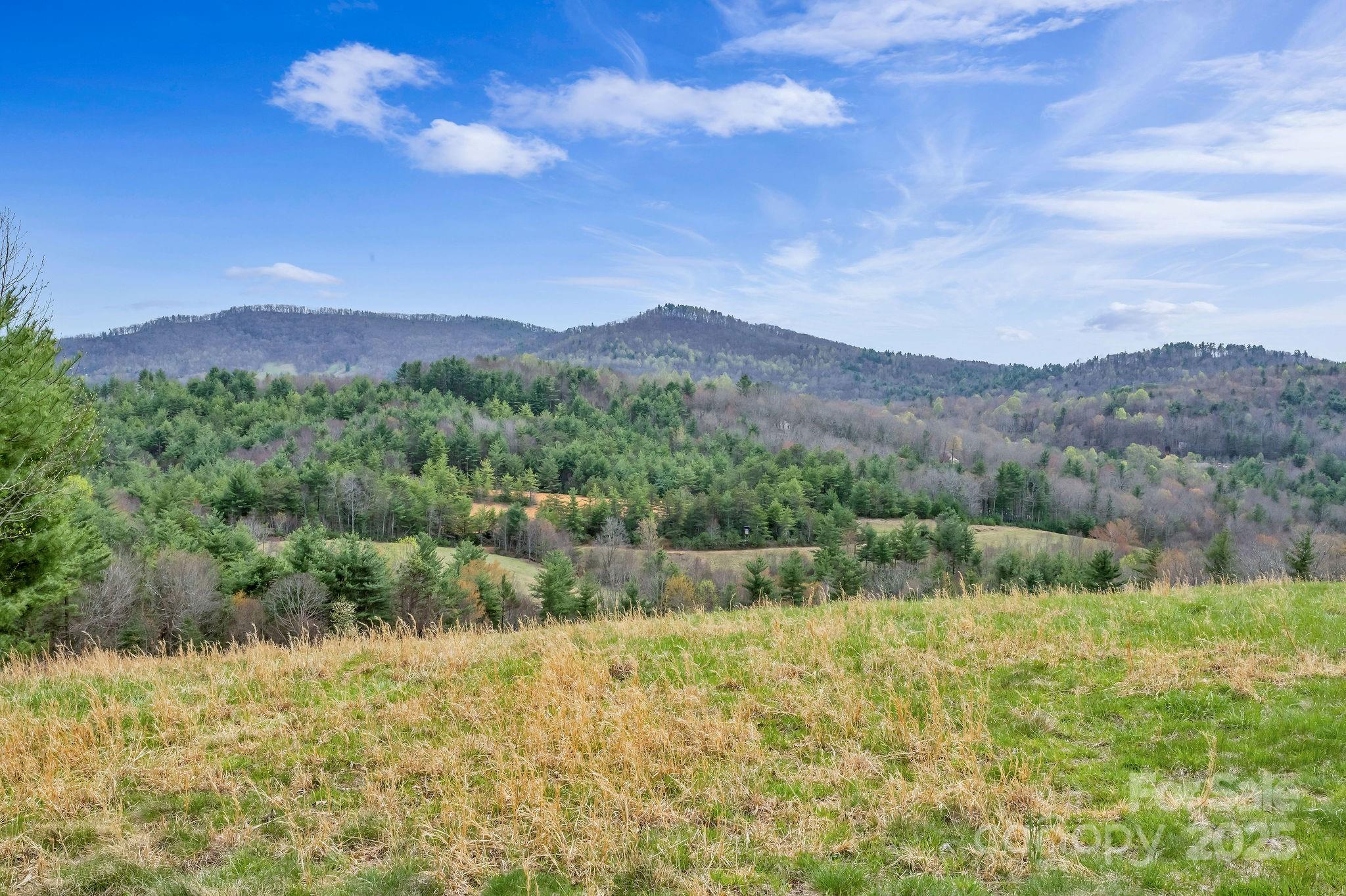 000 Little Peak Creek Road Property Photo 10