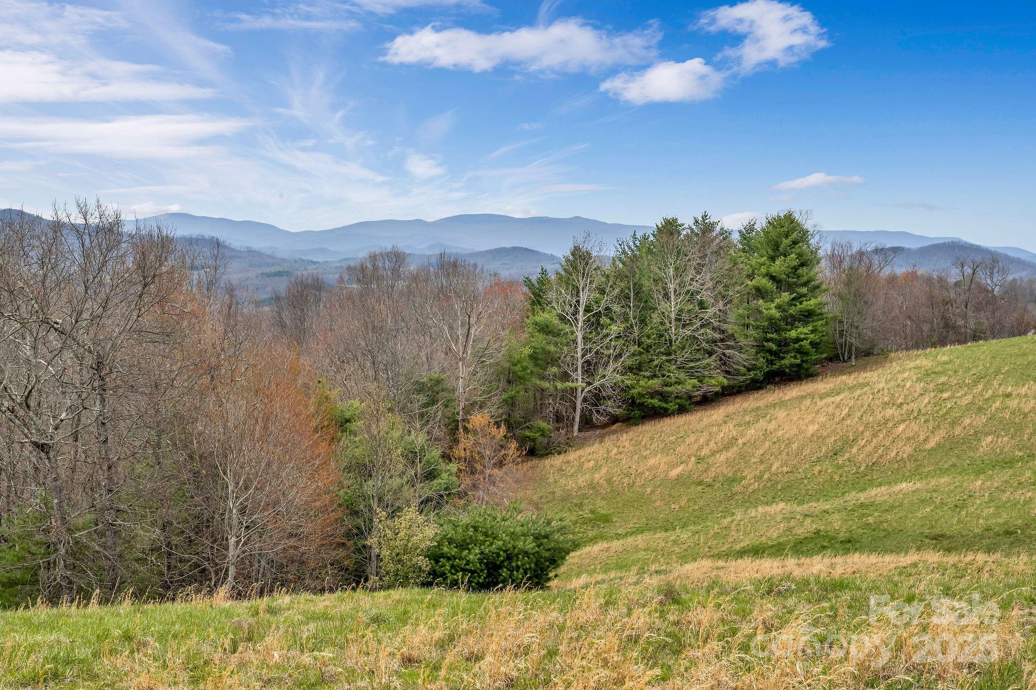 000 Little Peak Creek Road Property Photo 11