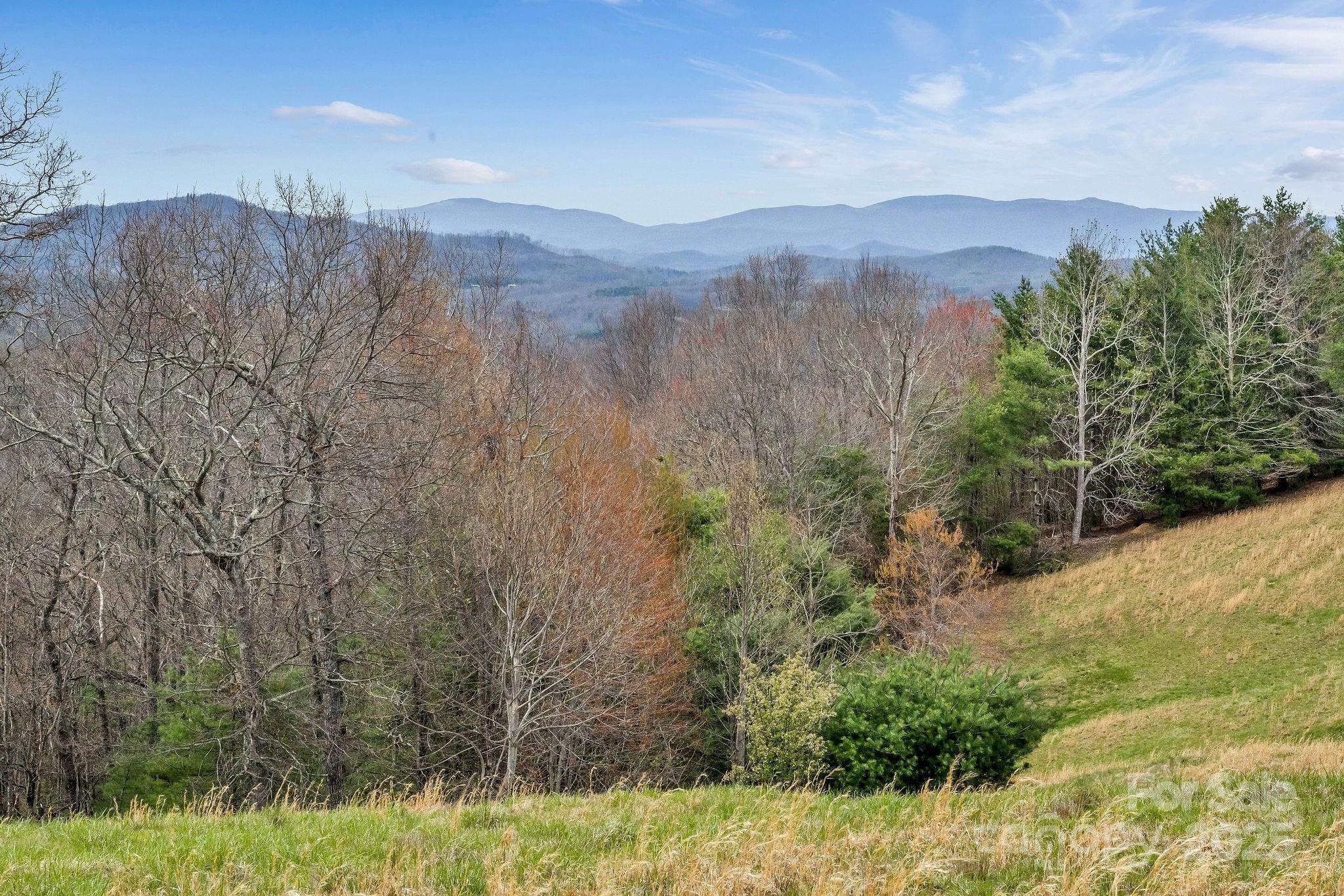 000 Little Peak Creek Road Property Photo 12