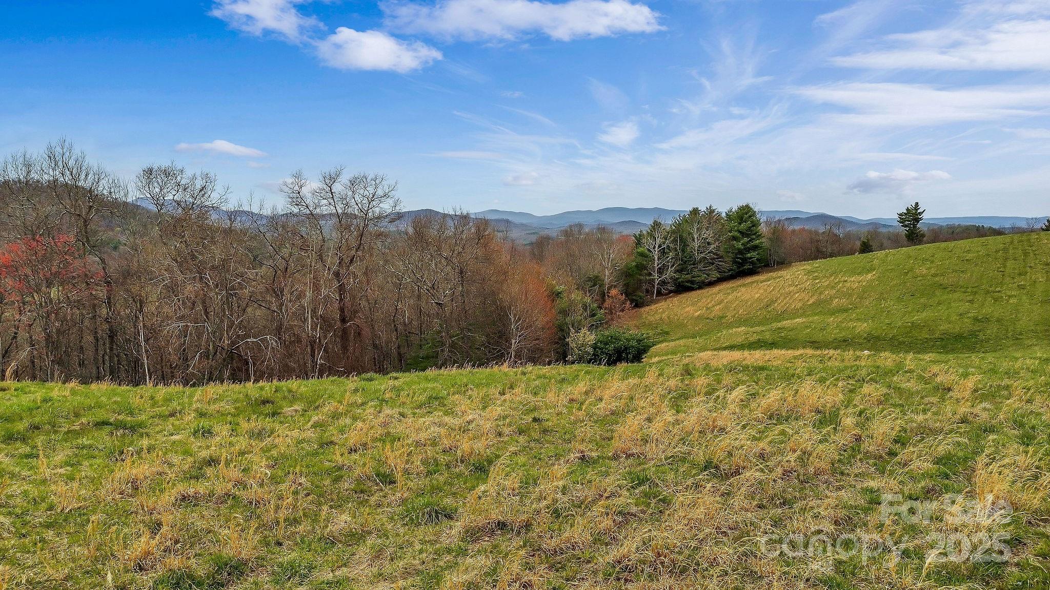 000 Little Peak Creek Road Property Photo 16