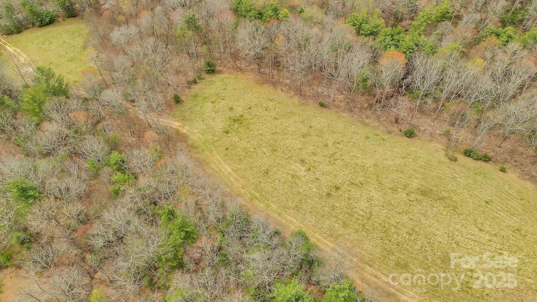 000 Little Peak Creek Road Property Photo 17