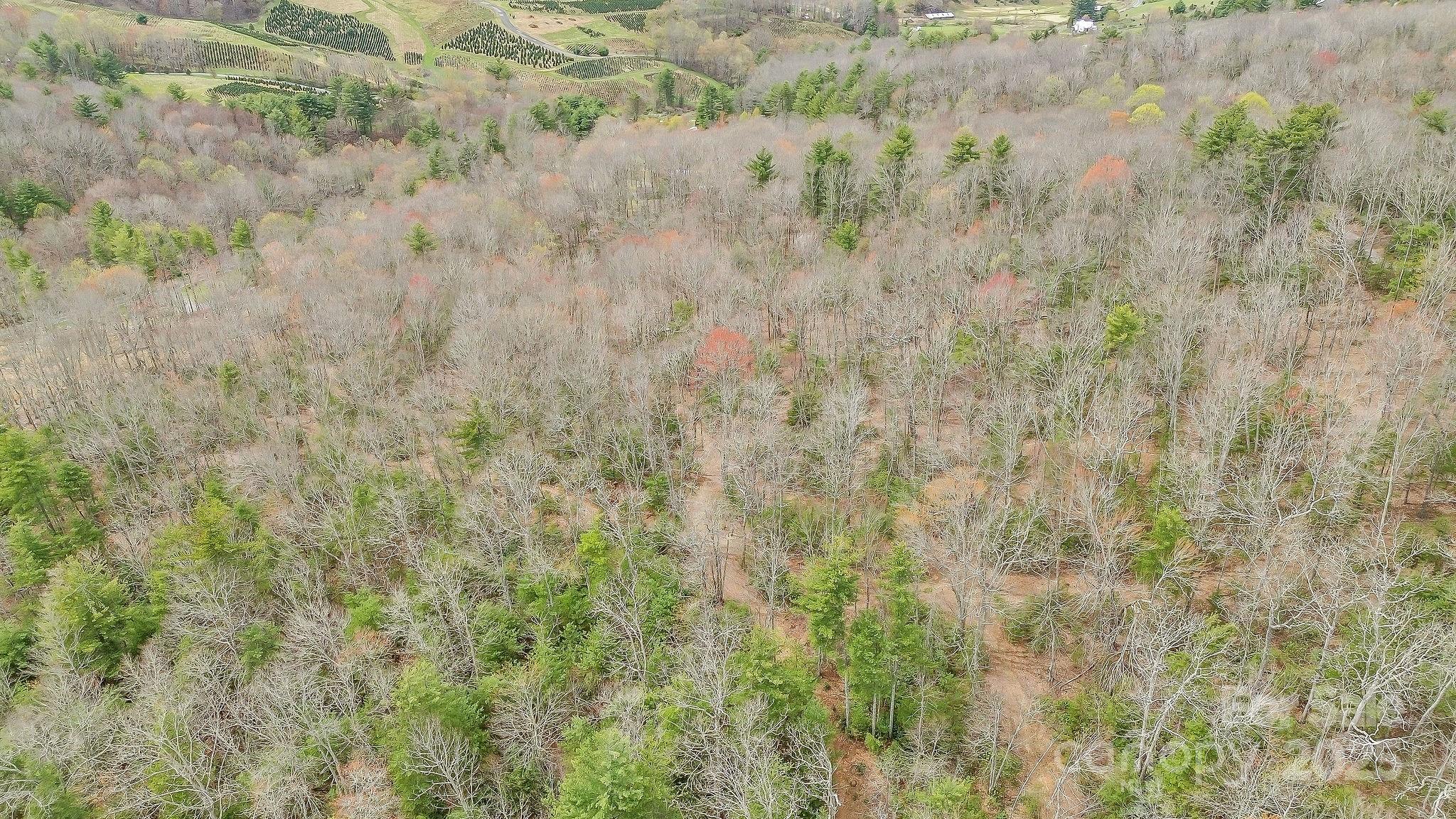 000 Little Peak Creek Road Property Photo 20
