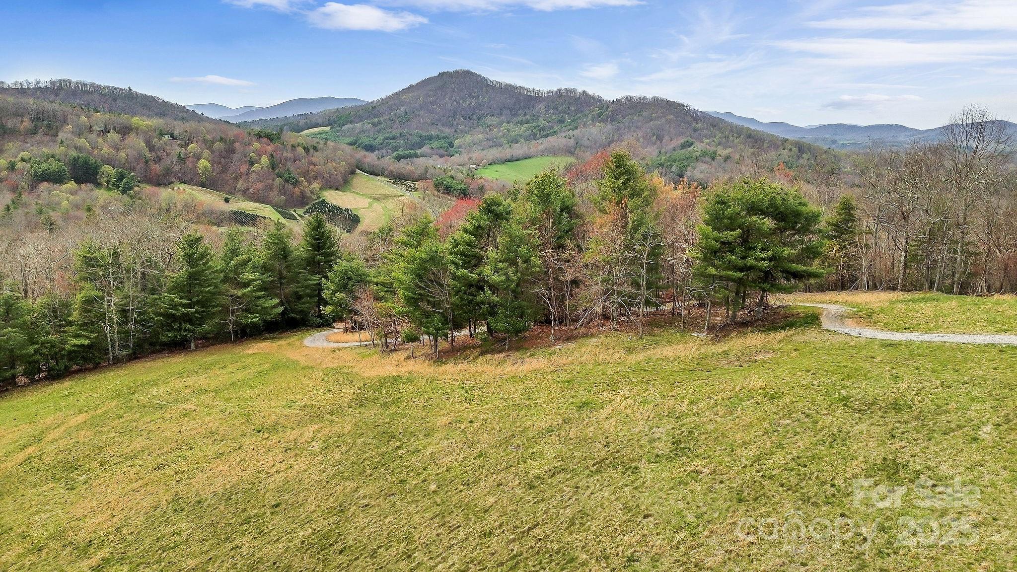 000 Little Peak Creek Road Property Photo 21